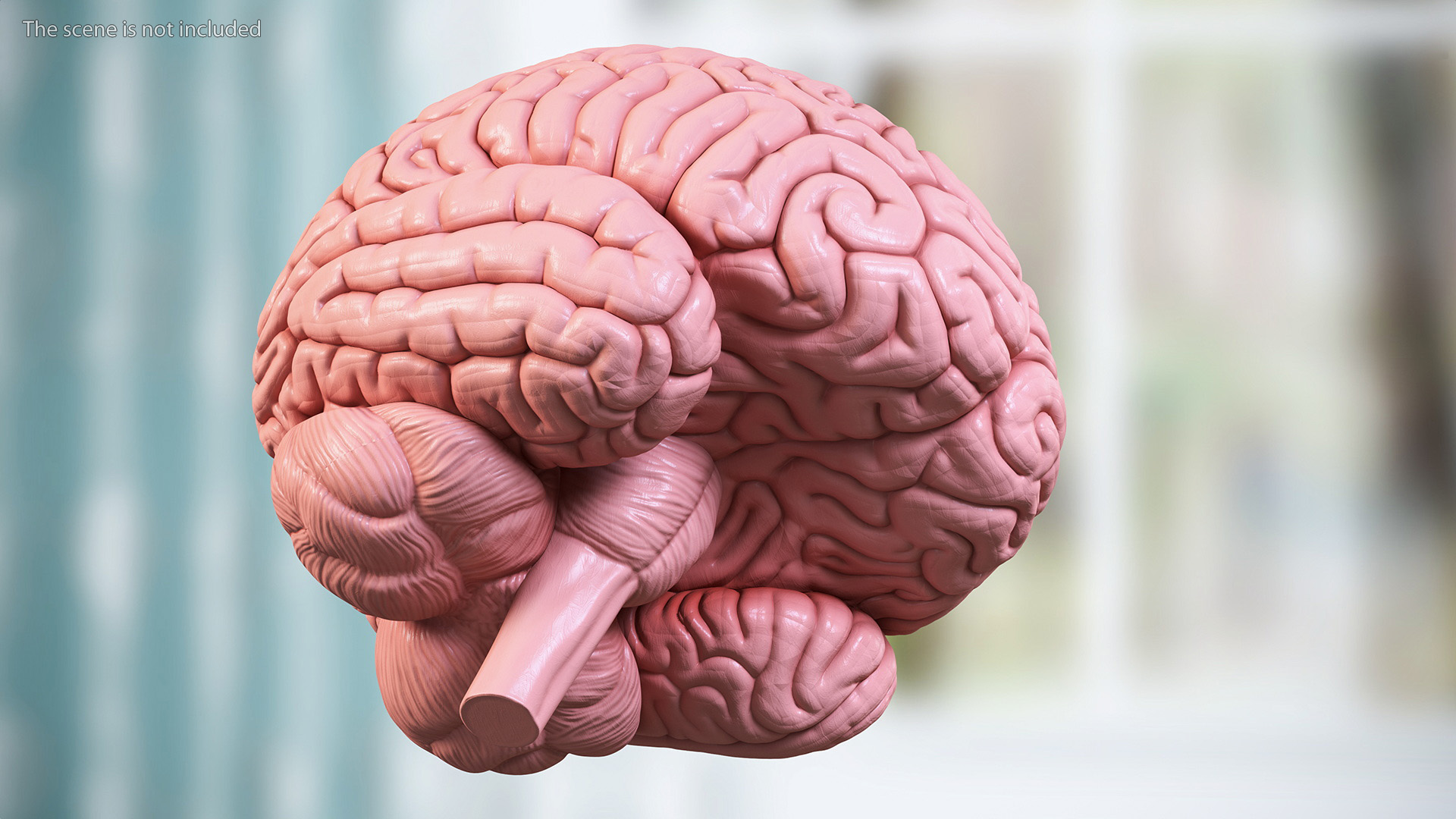 3D Human Brain With Implanted Microchip