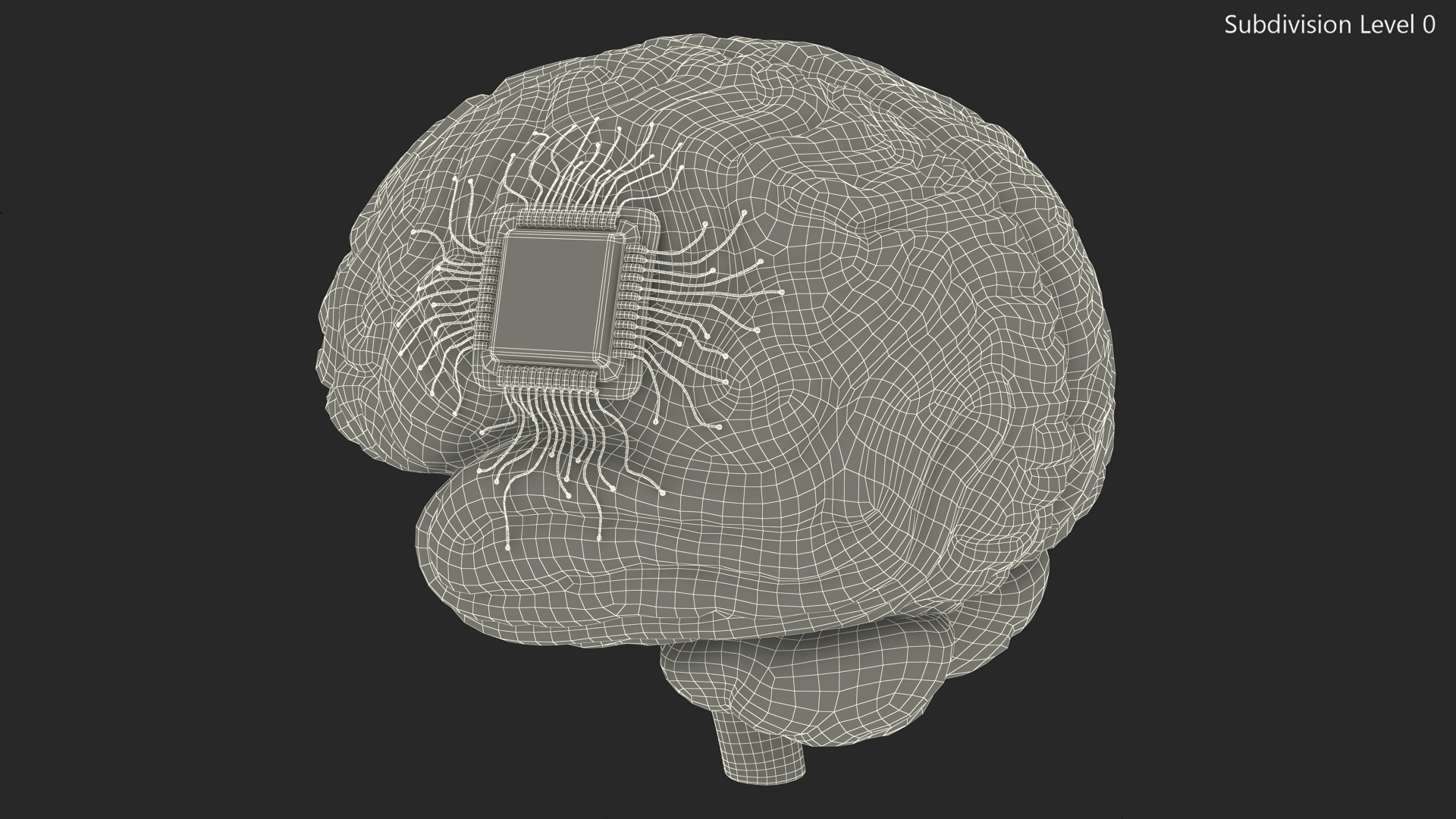 3D Human Brain With Implanted Microchip