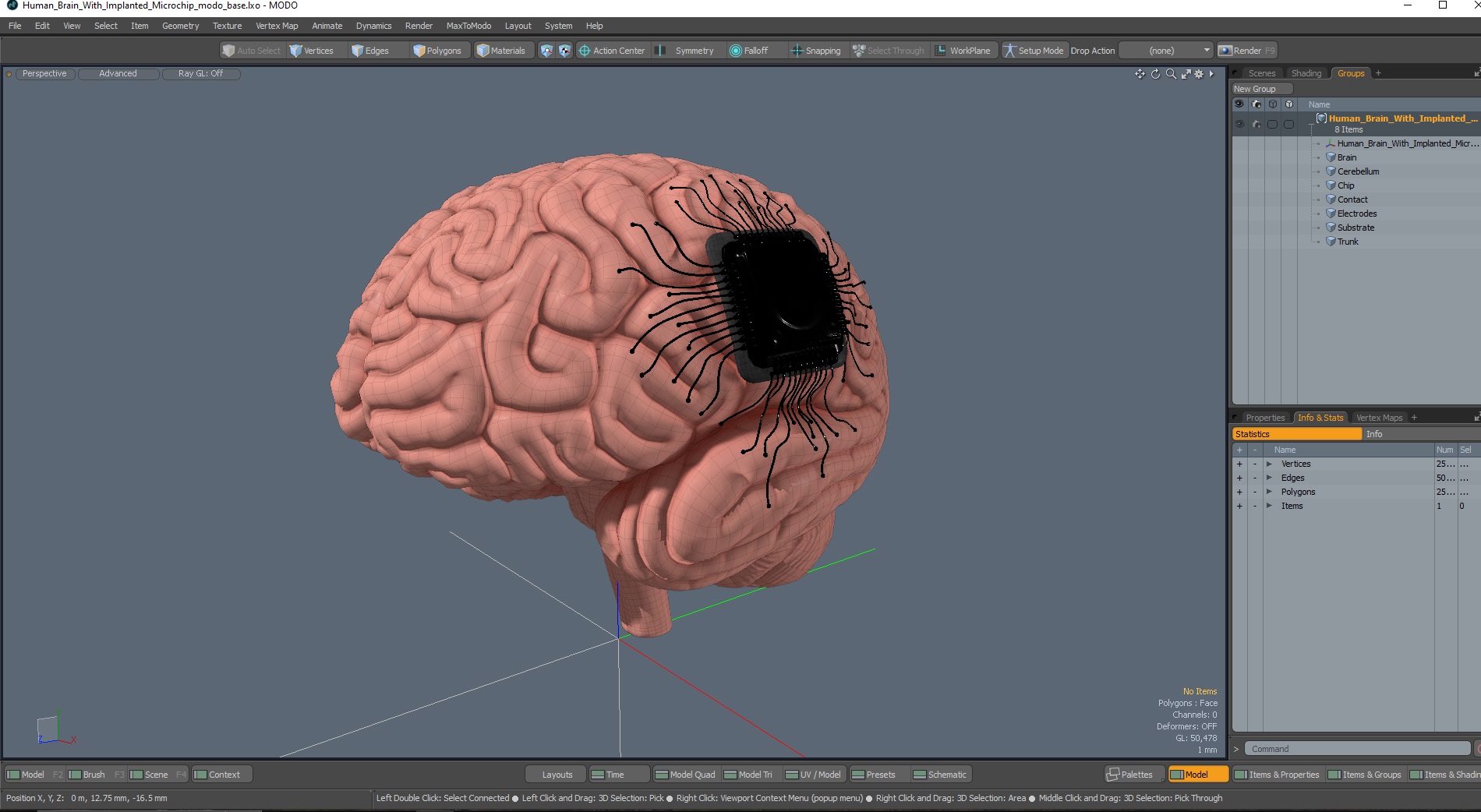 3D Human Brain With Implanted Microchip