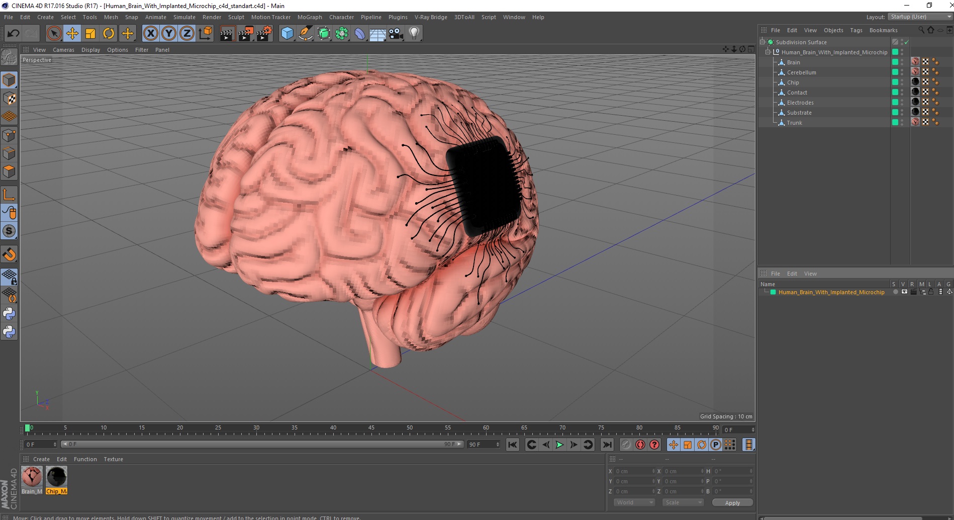 3D Human Brain With Implanted Microchip
