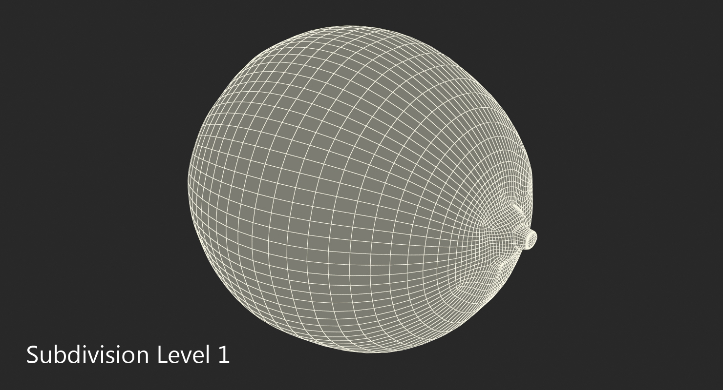 3D model Whole Lime