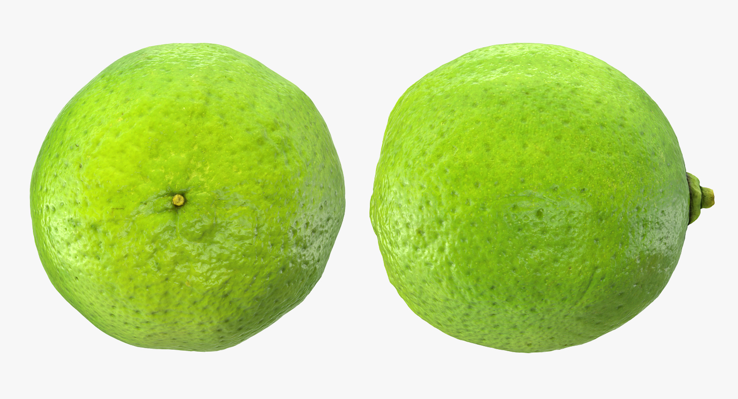 3D model Whole Lime