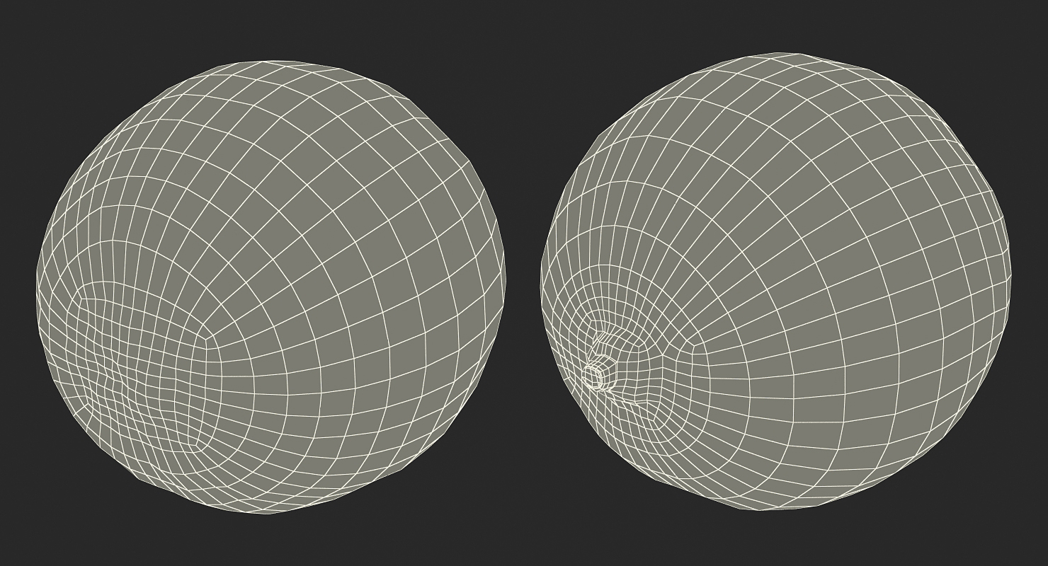 3D model Whole Lime