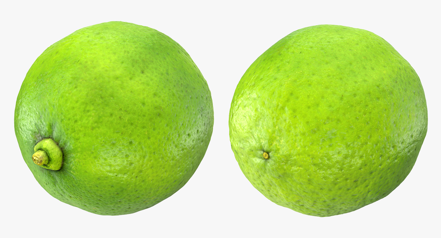 3D model Whole Lime