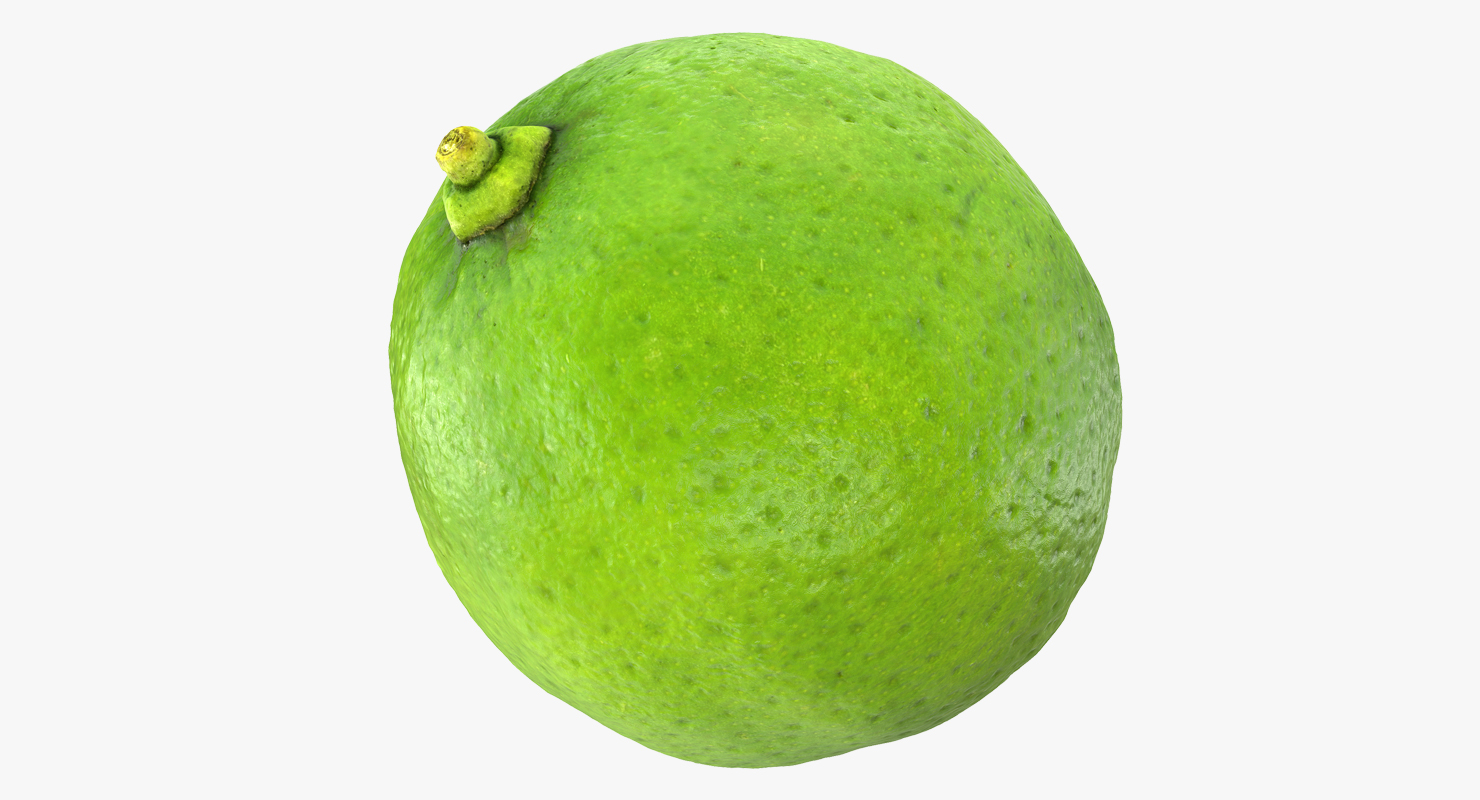 3D model Whole Lime
