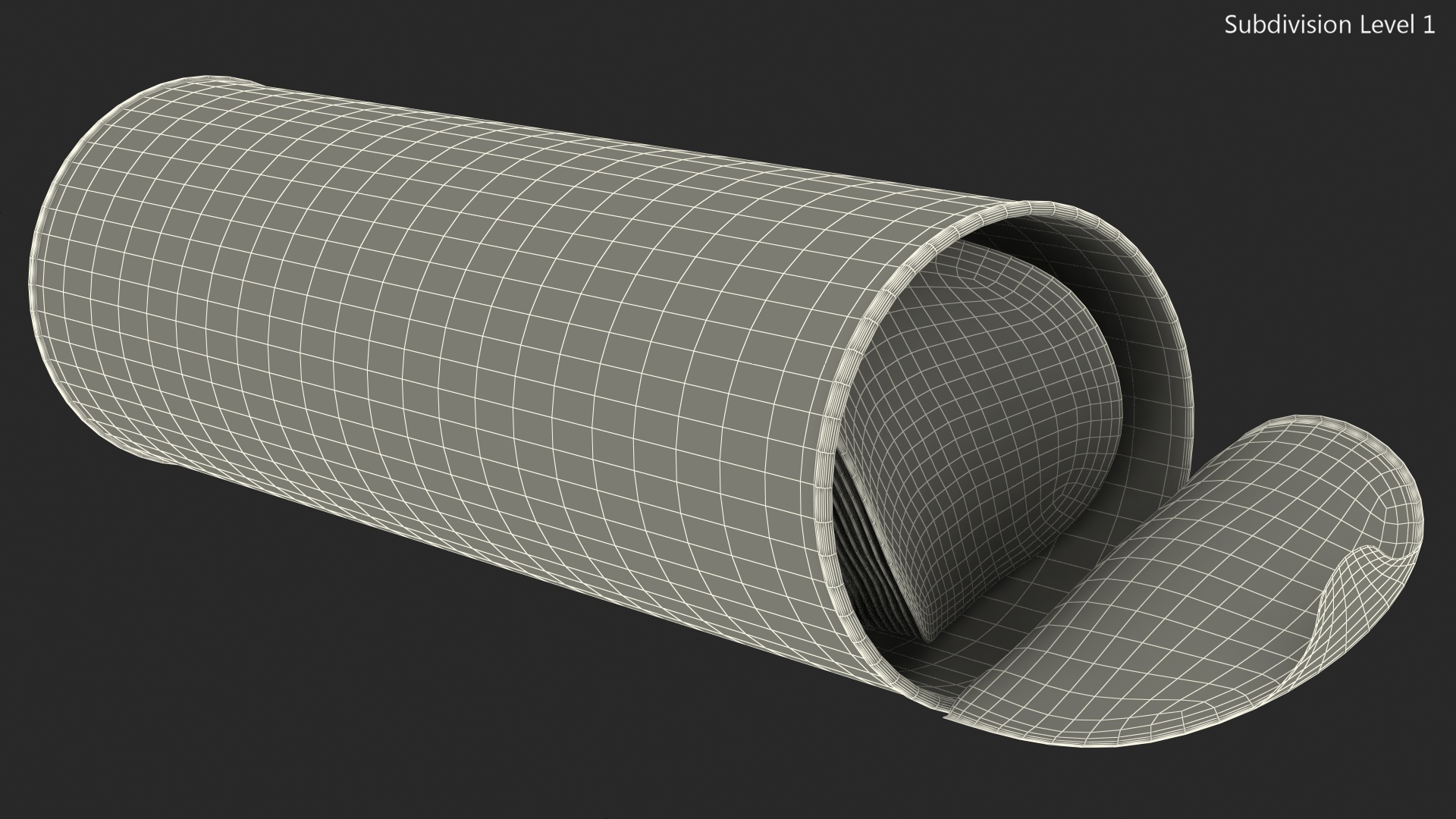 3D Open Potato Chips in Tube Package model