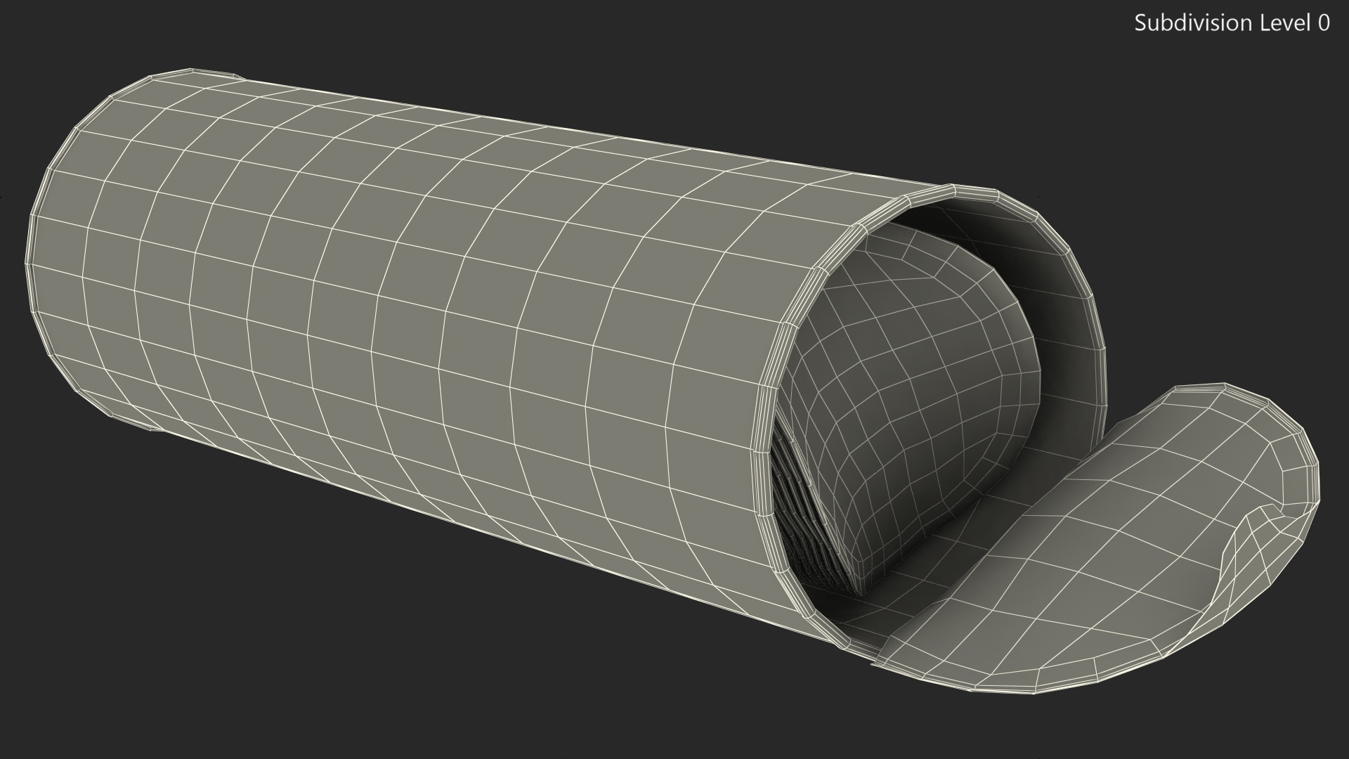3D Open Potato Chips in Tube Package model