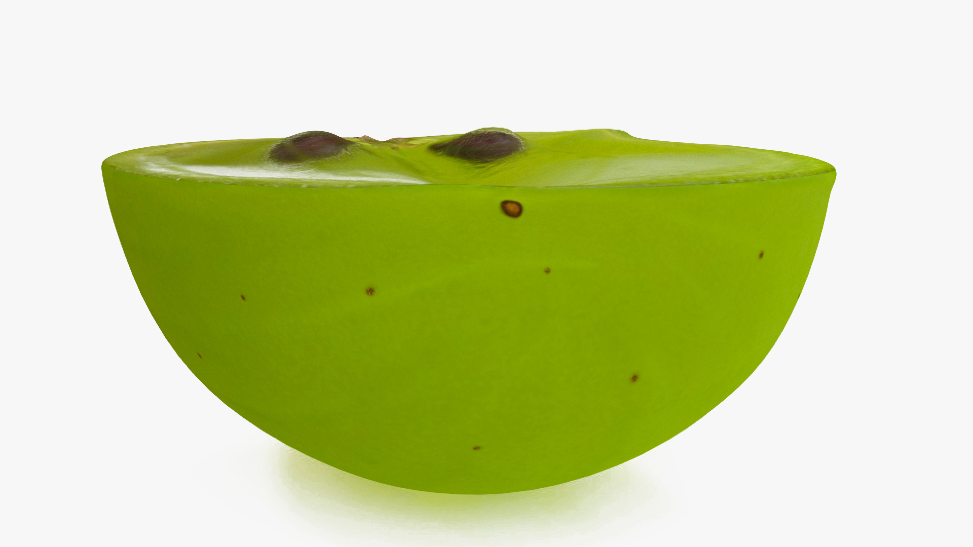 3D model White Wine Grape Cross Section