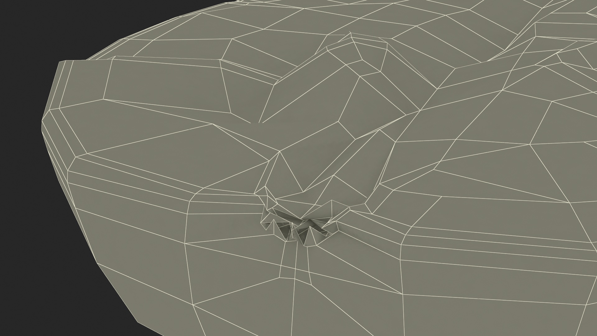 3D model White Wine Grape Cross Section
