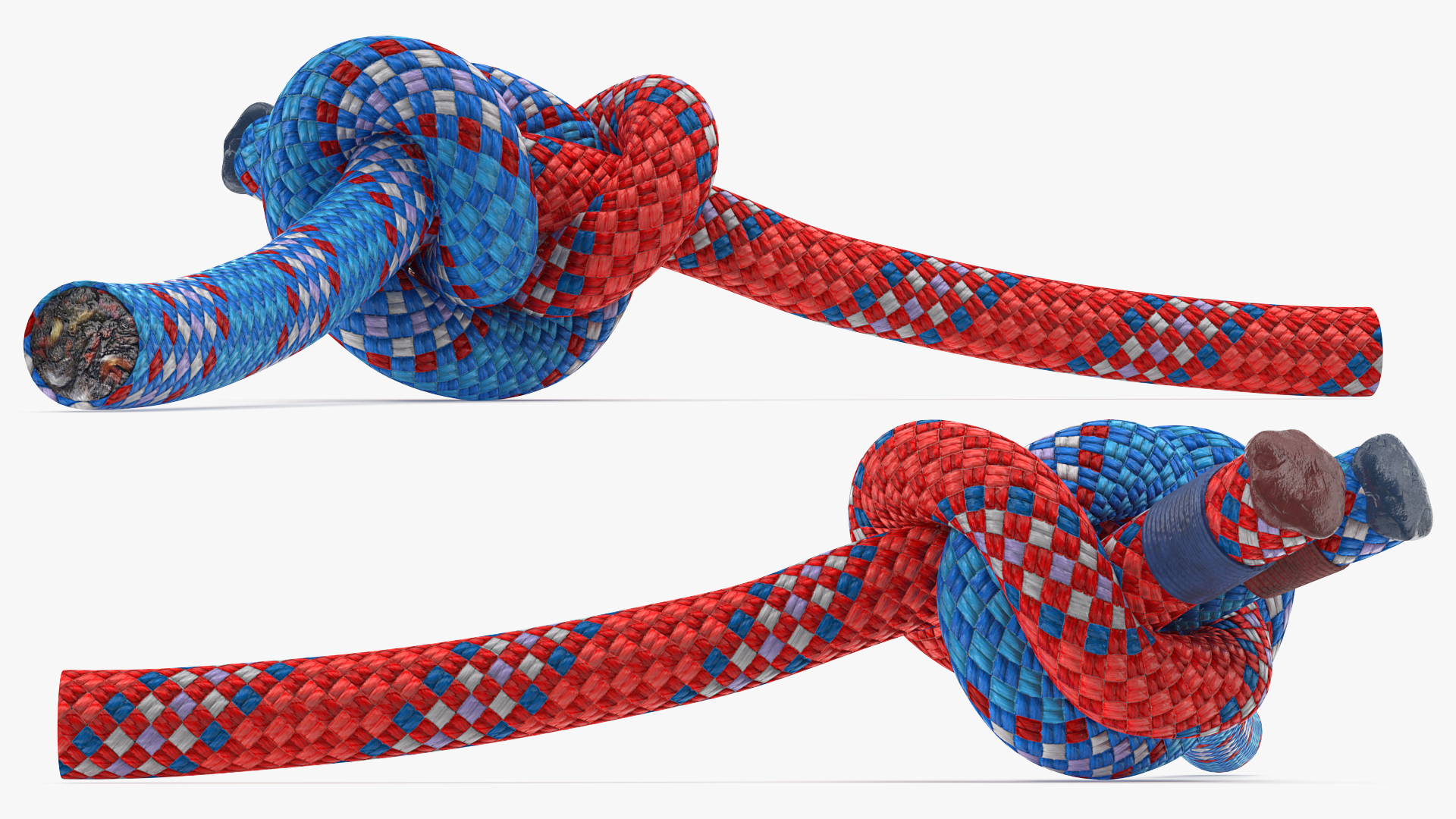 Alpine Butterfly Bend Knot Colored 3D model
