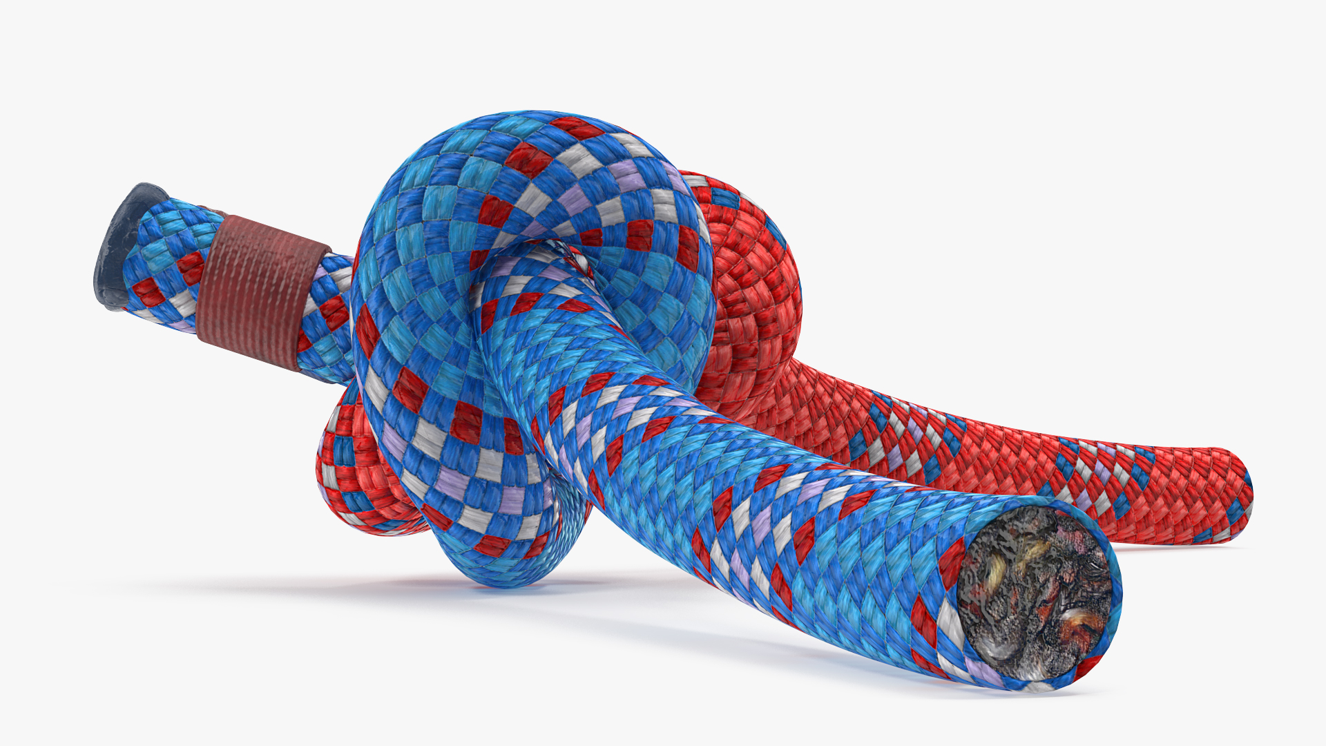 Alpine Butterfly Bend Knot Colored 3D model