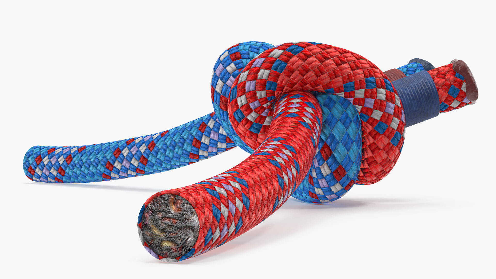 Alpine Butterfly Bend Knot Colored 3D model