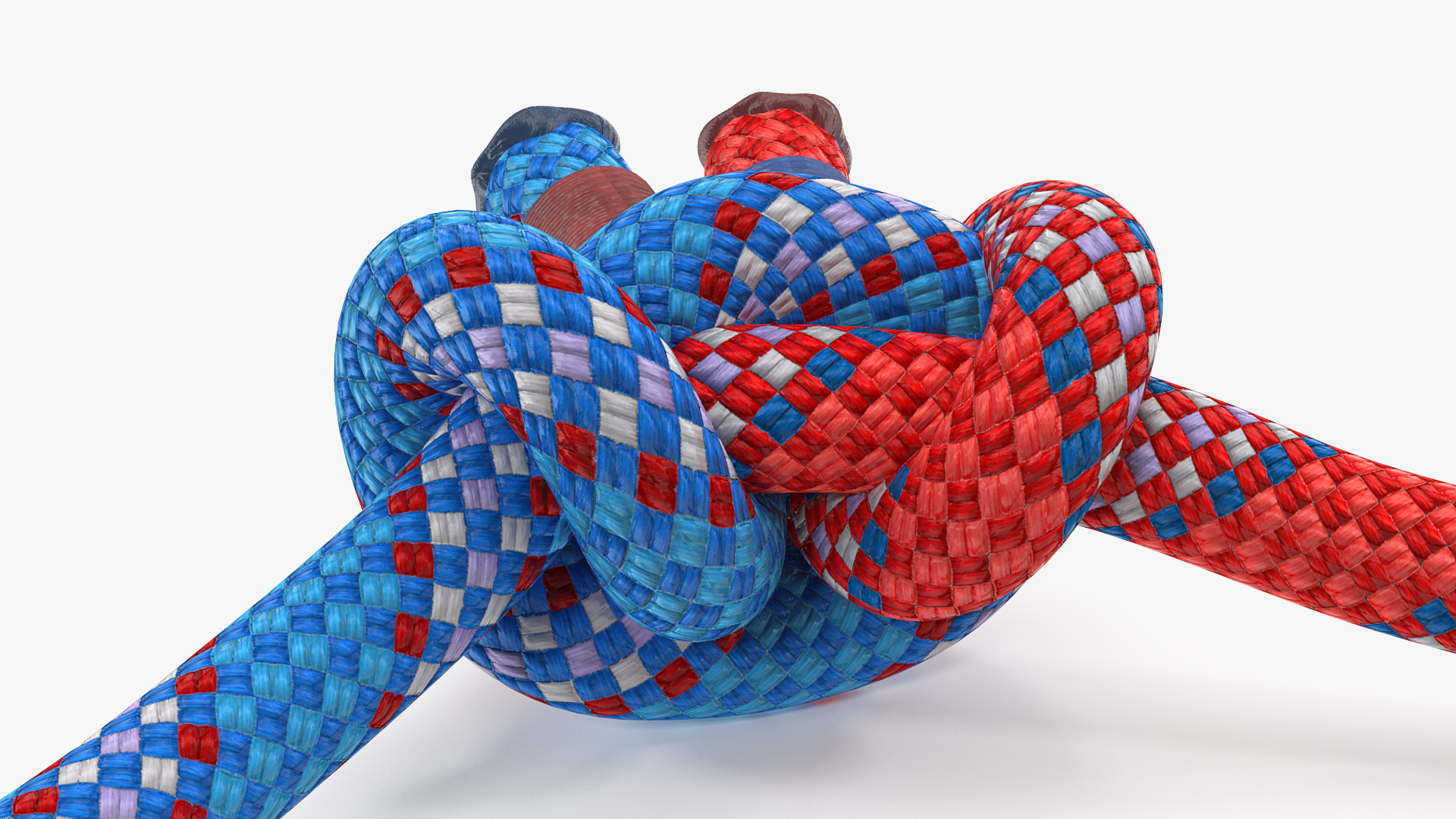 Alpine Butterfly Bend Knot Colored 3D model
