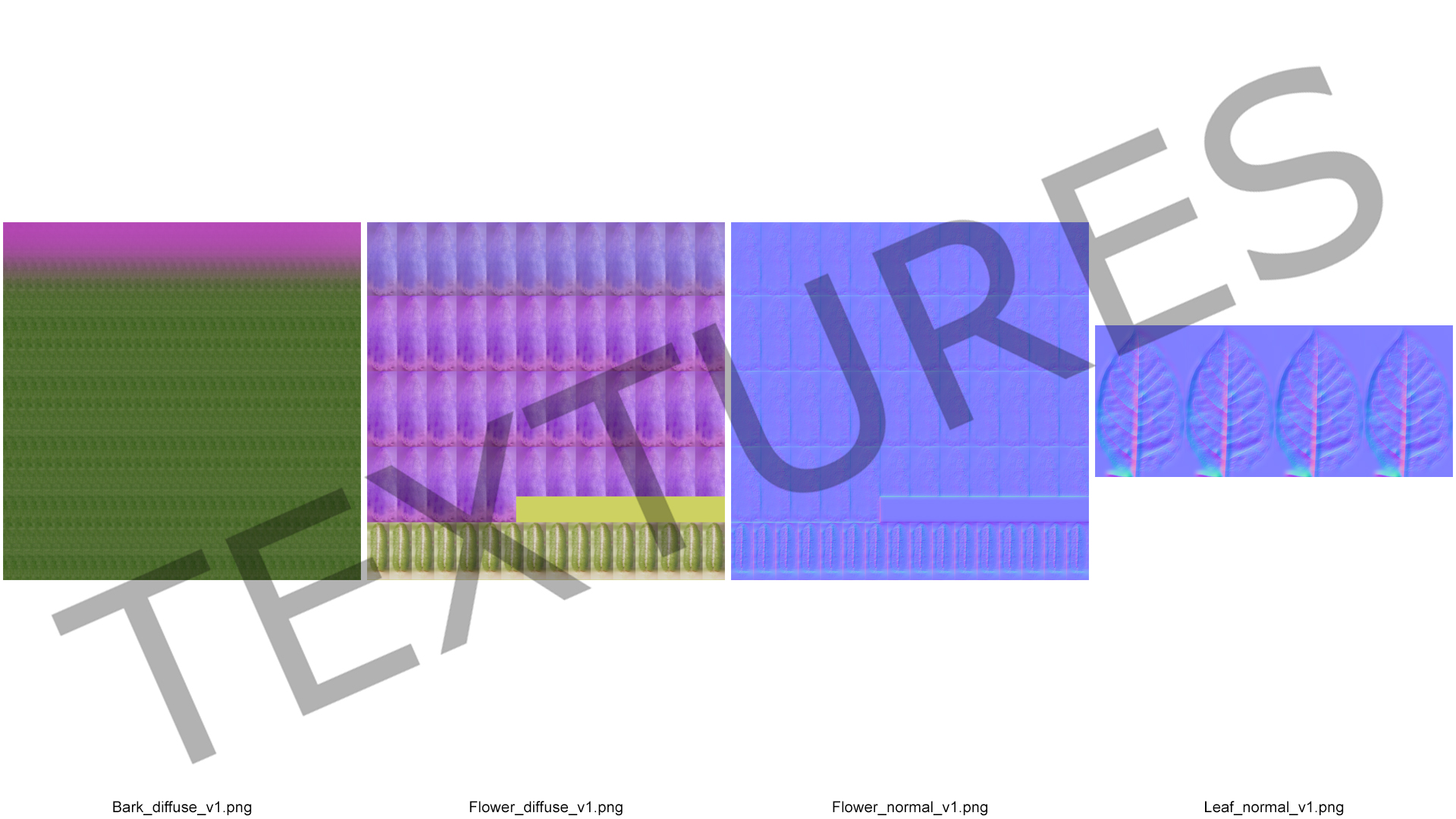 Blooming Meadow Sage Salvia Pratensis 3D