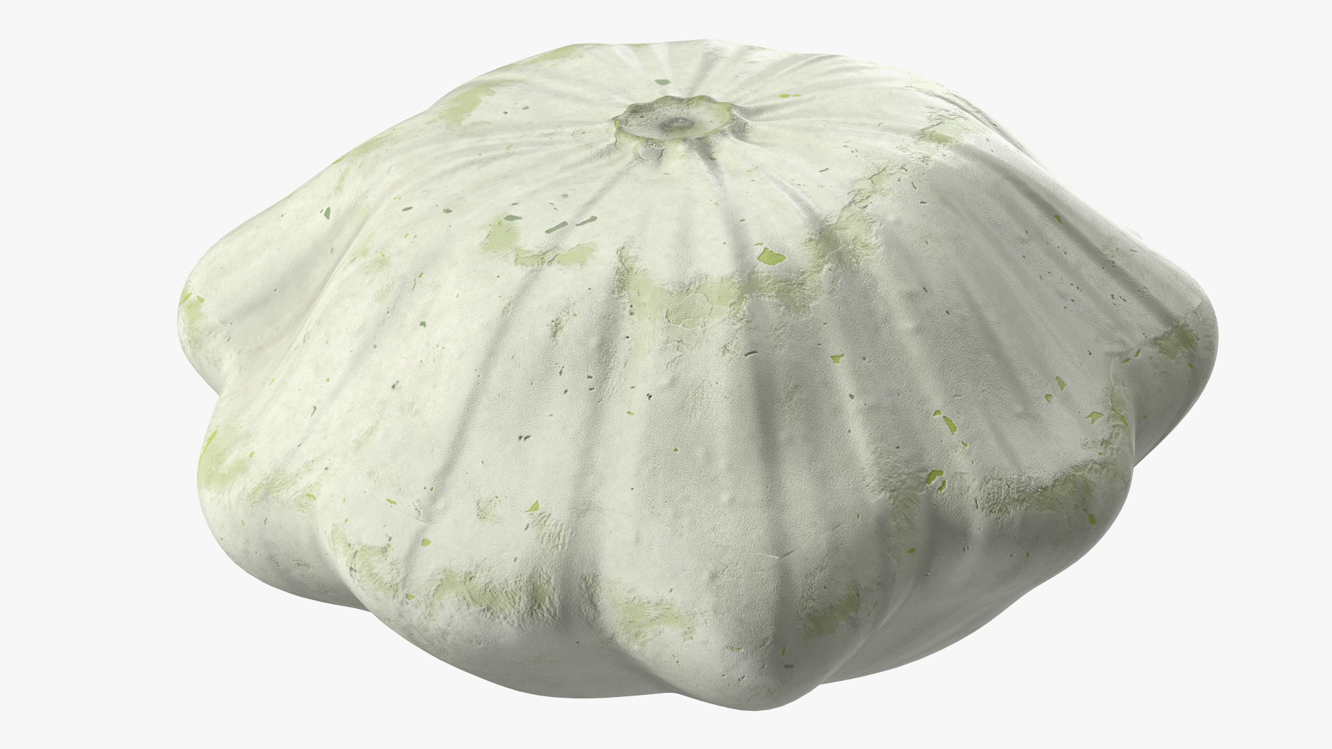 3D Bush Pumpkin White model