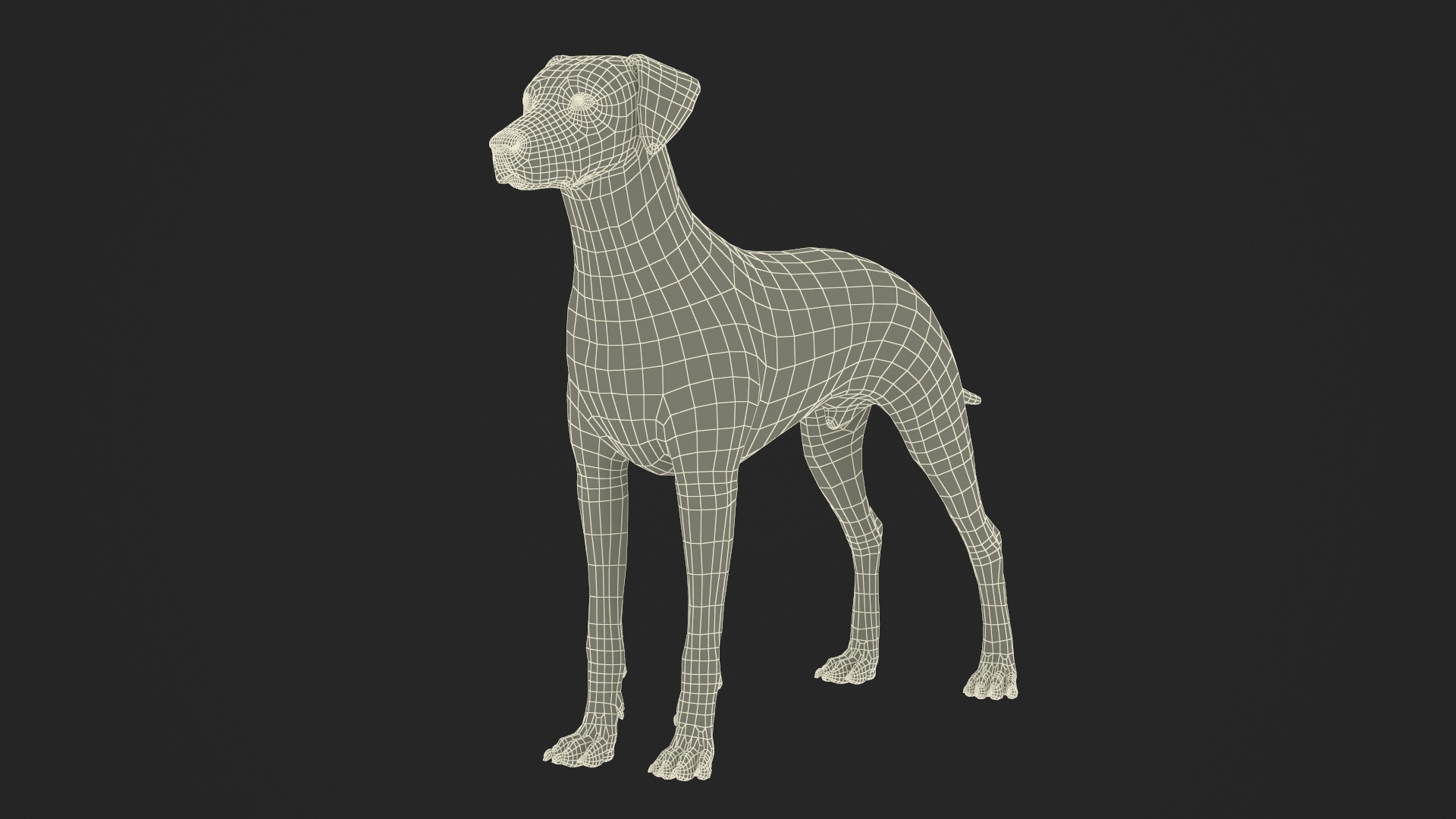 3D model Spotted Dalmatian Dog Fur
