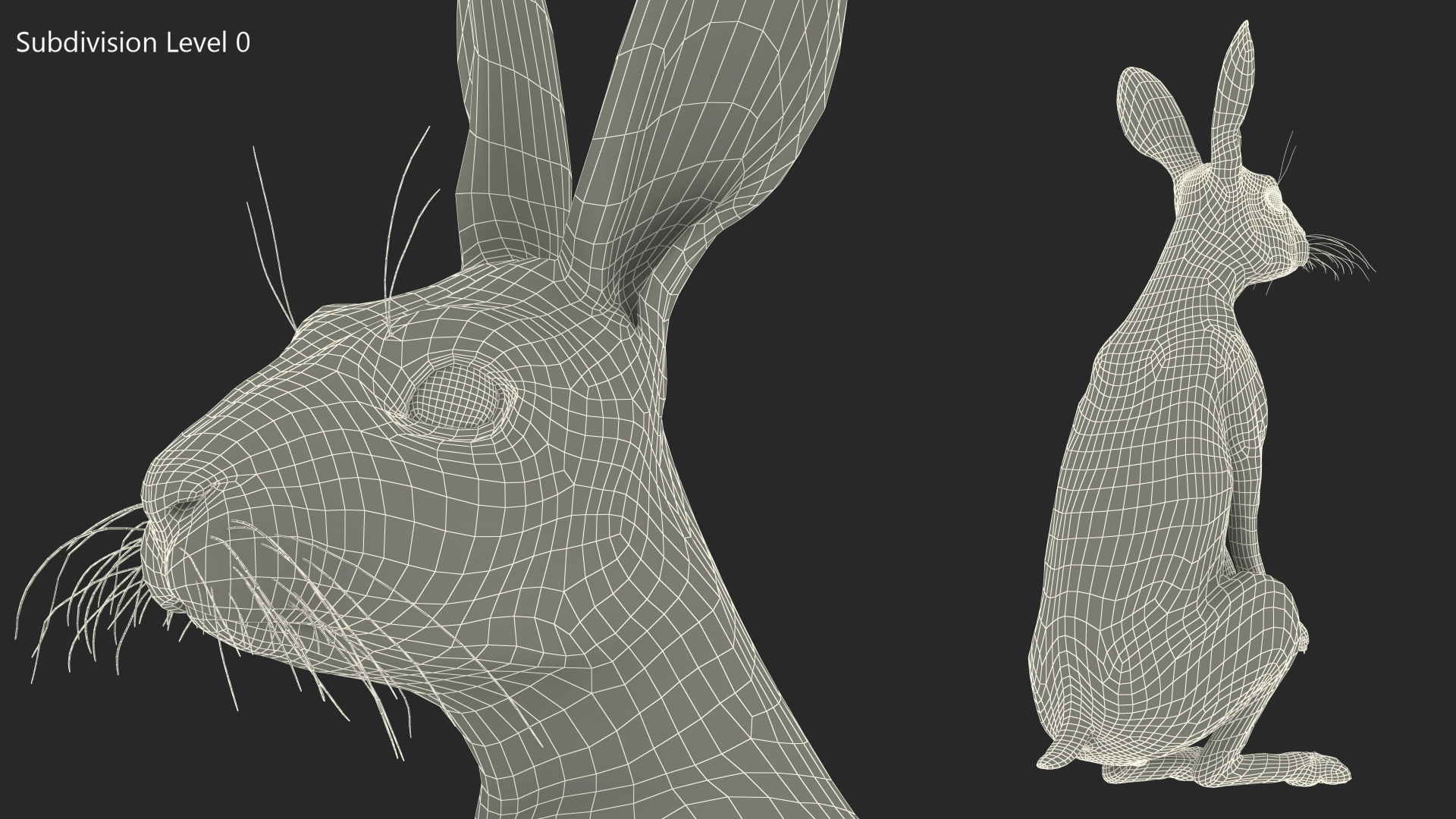 3D Snowshoe Hare Standing Pose Fur