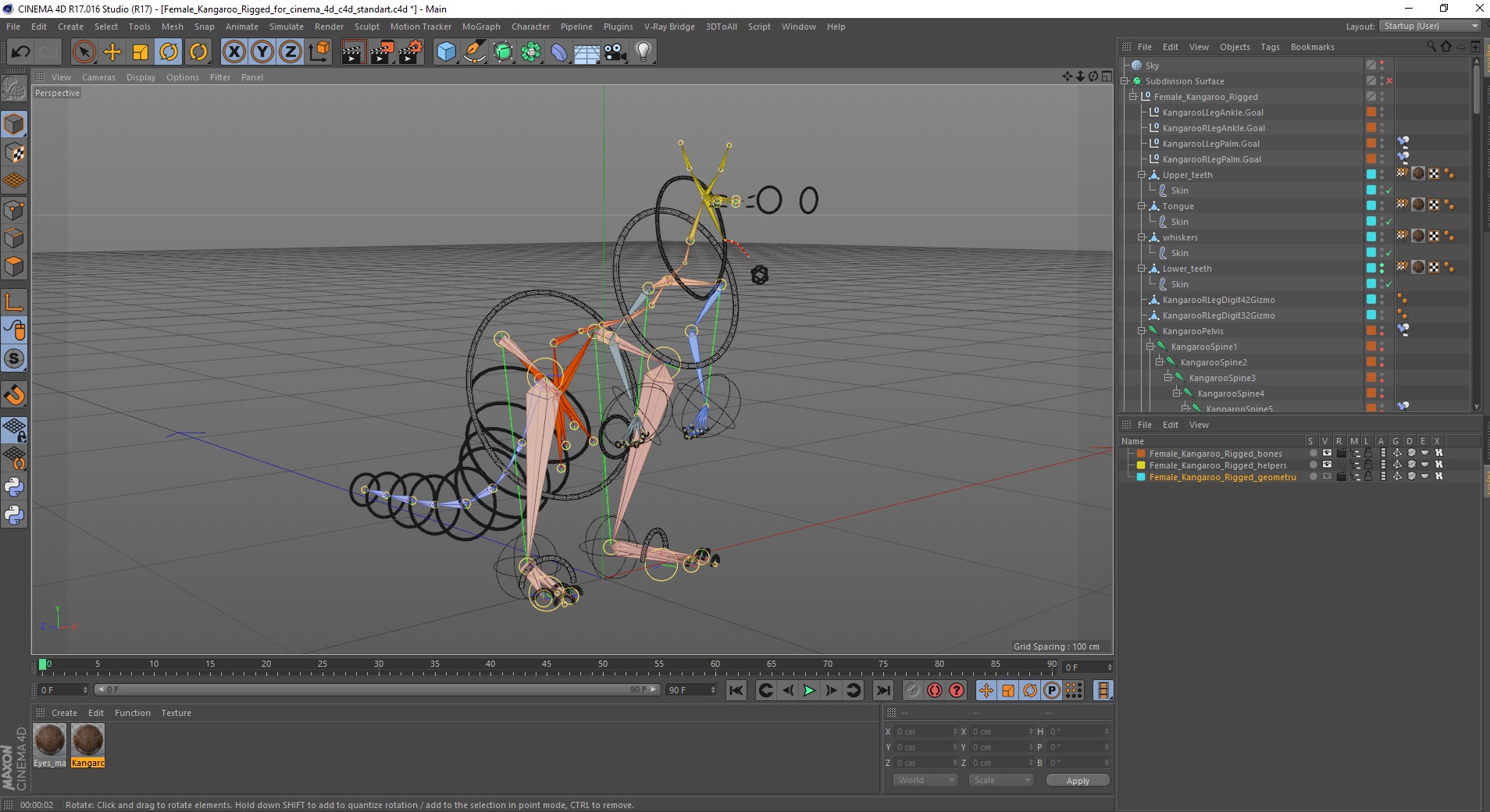 3D Female Kangaroo Rigged for Cinema 4D