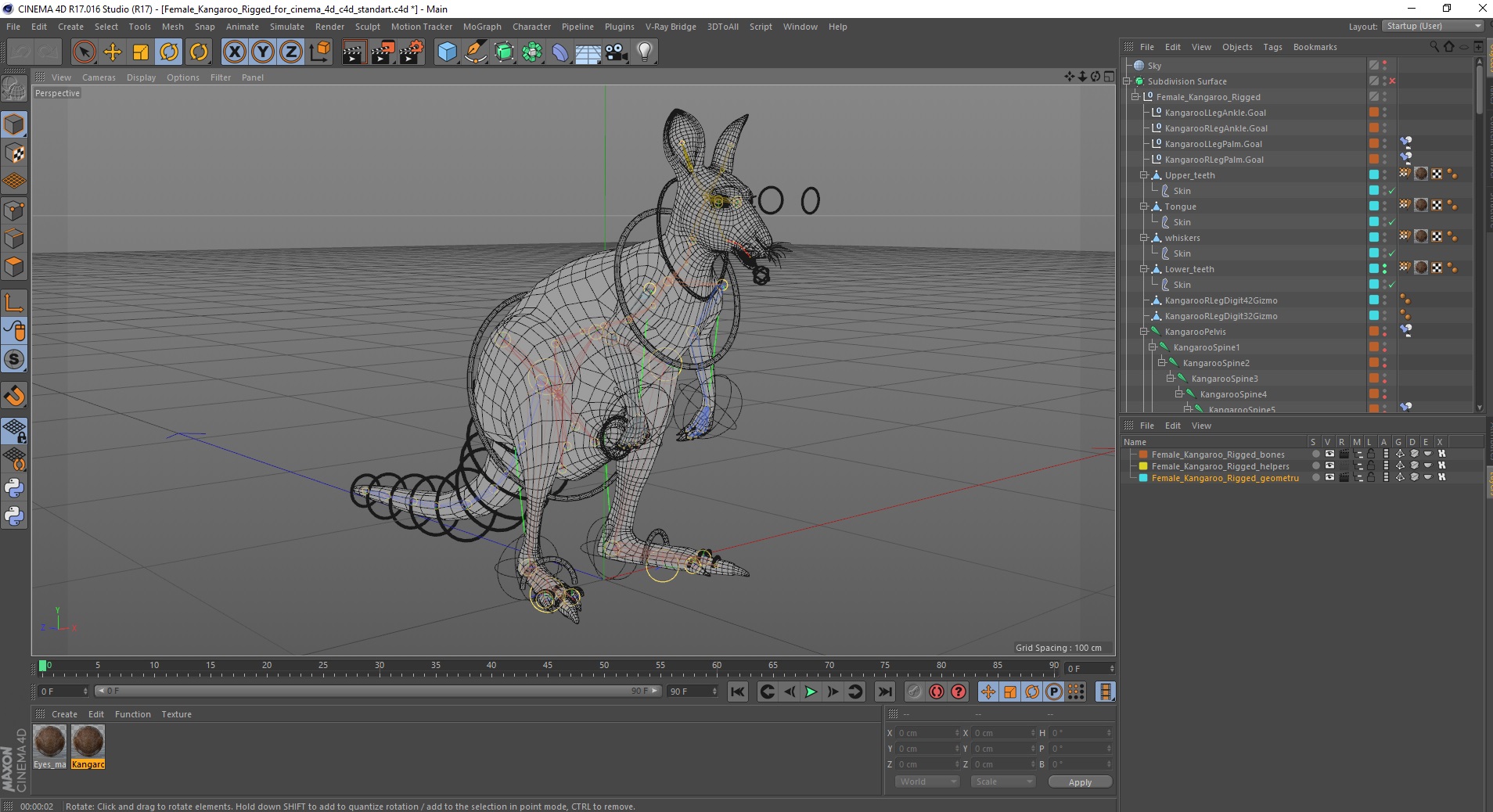 3D Female Kangaroo Rigged for Cinema 4D