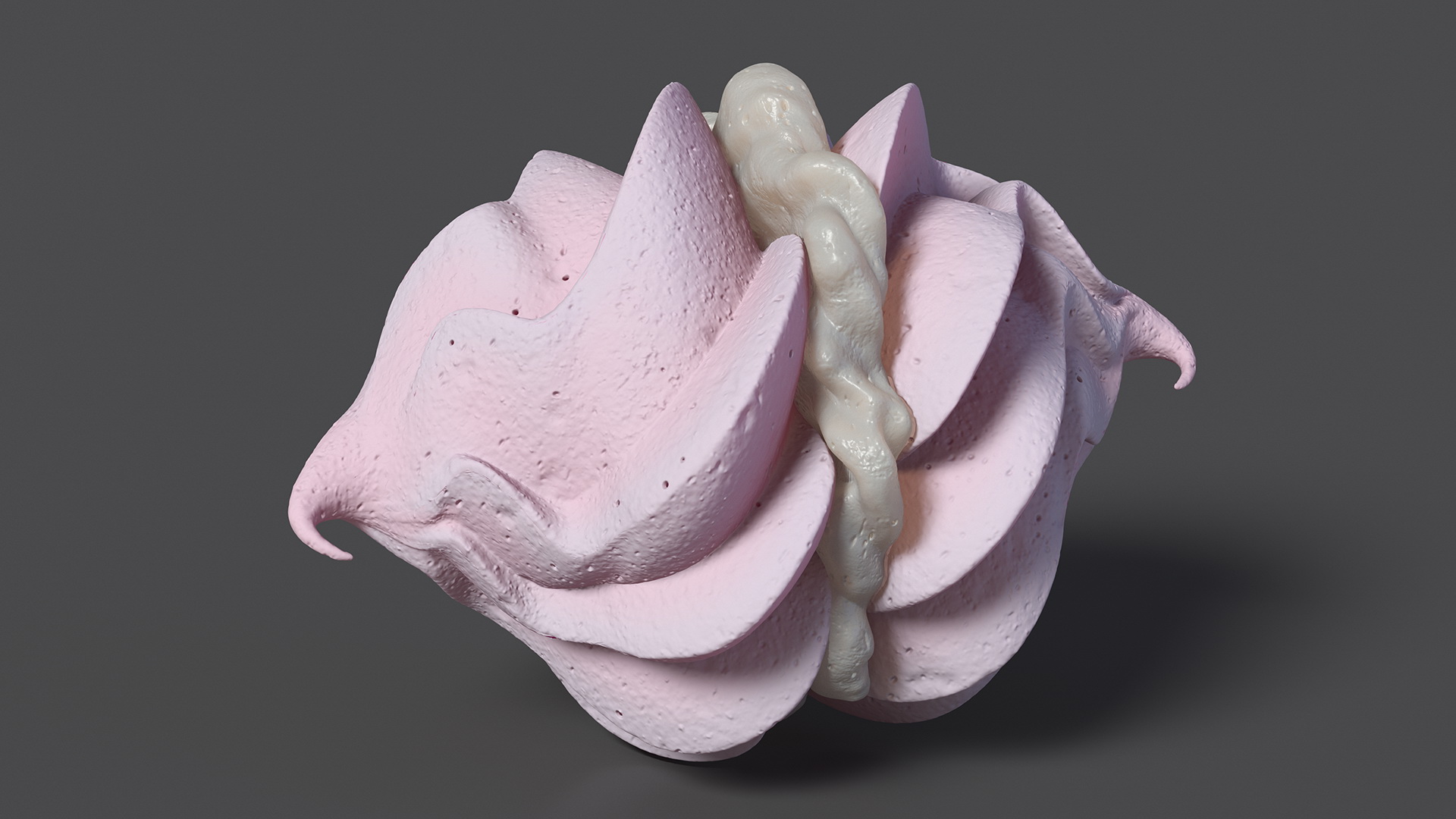 3D Pink Meringue Kisses with Vanilla Filling