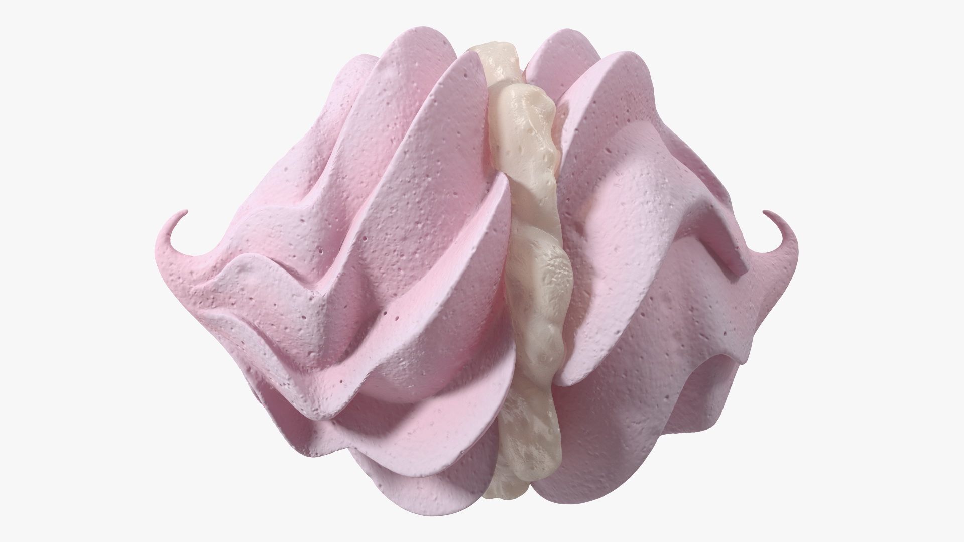 3D Pink Meringue Kisses with Vanilla Filling