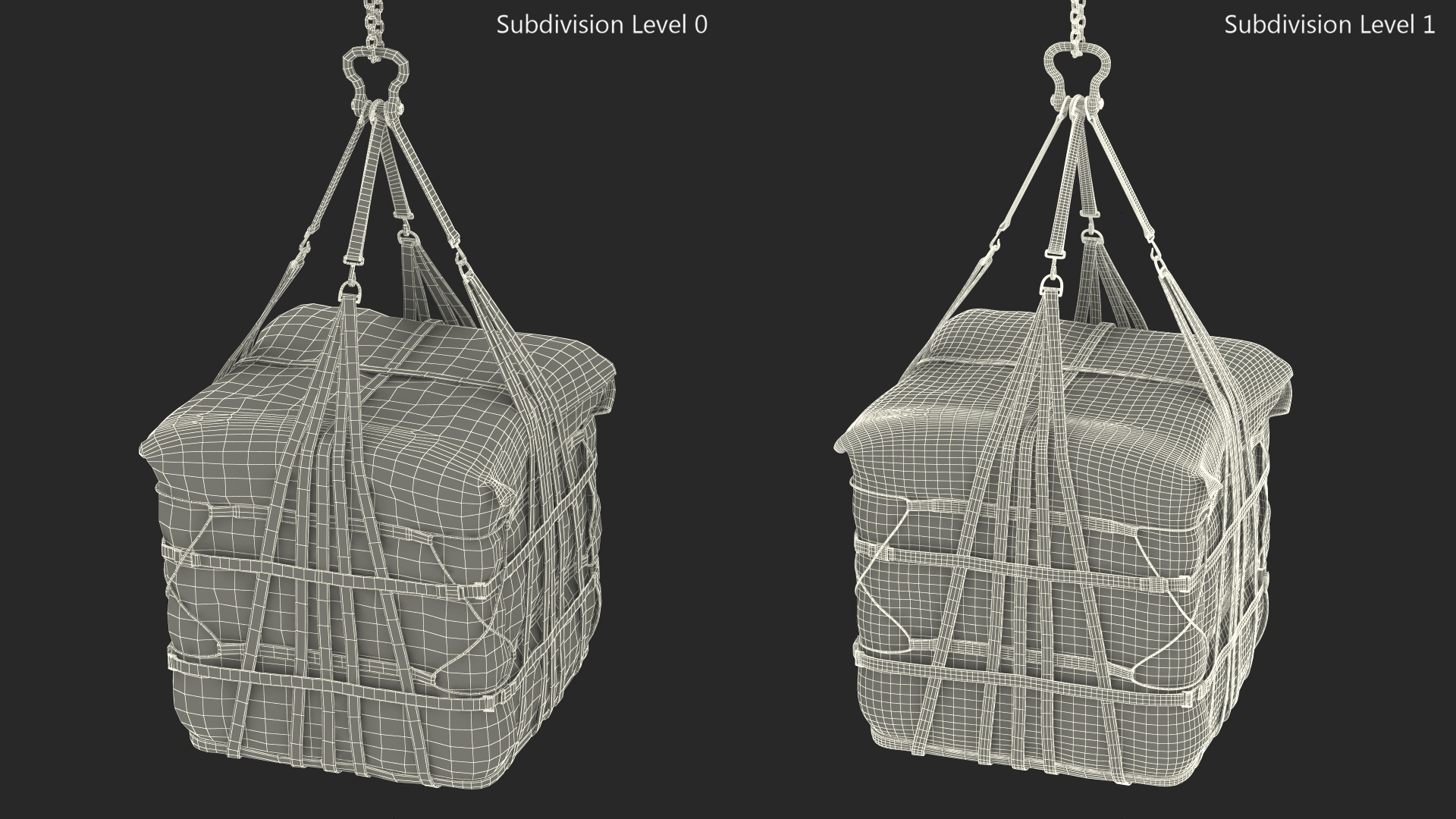 Heavy Duty Aerial Delivery Cargo Bag Hanging 3D model