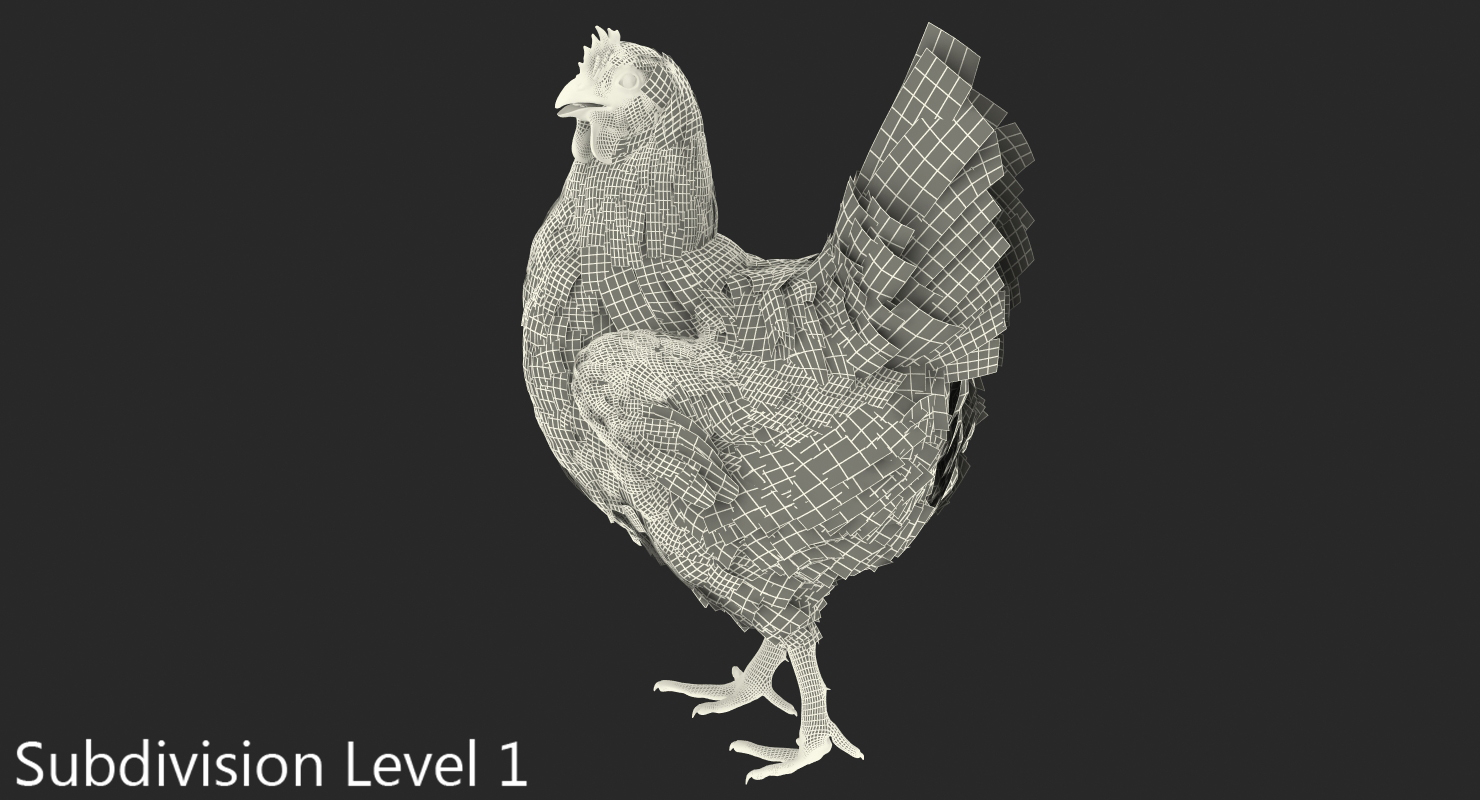 3D White Chicken Walking Pose