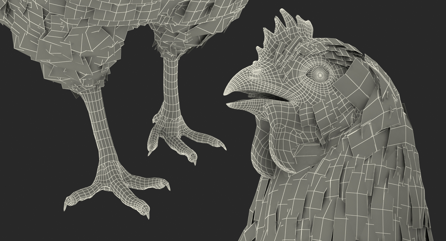 3D White Chicken Walking Pose