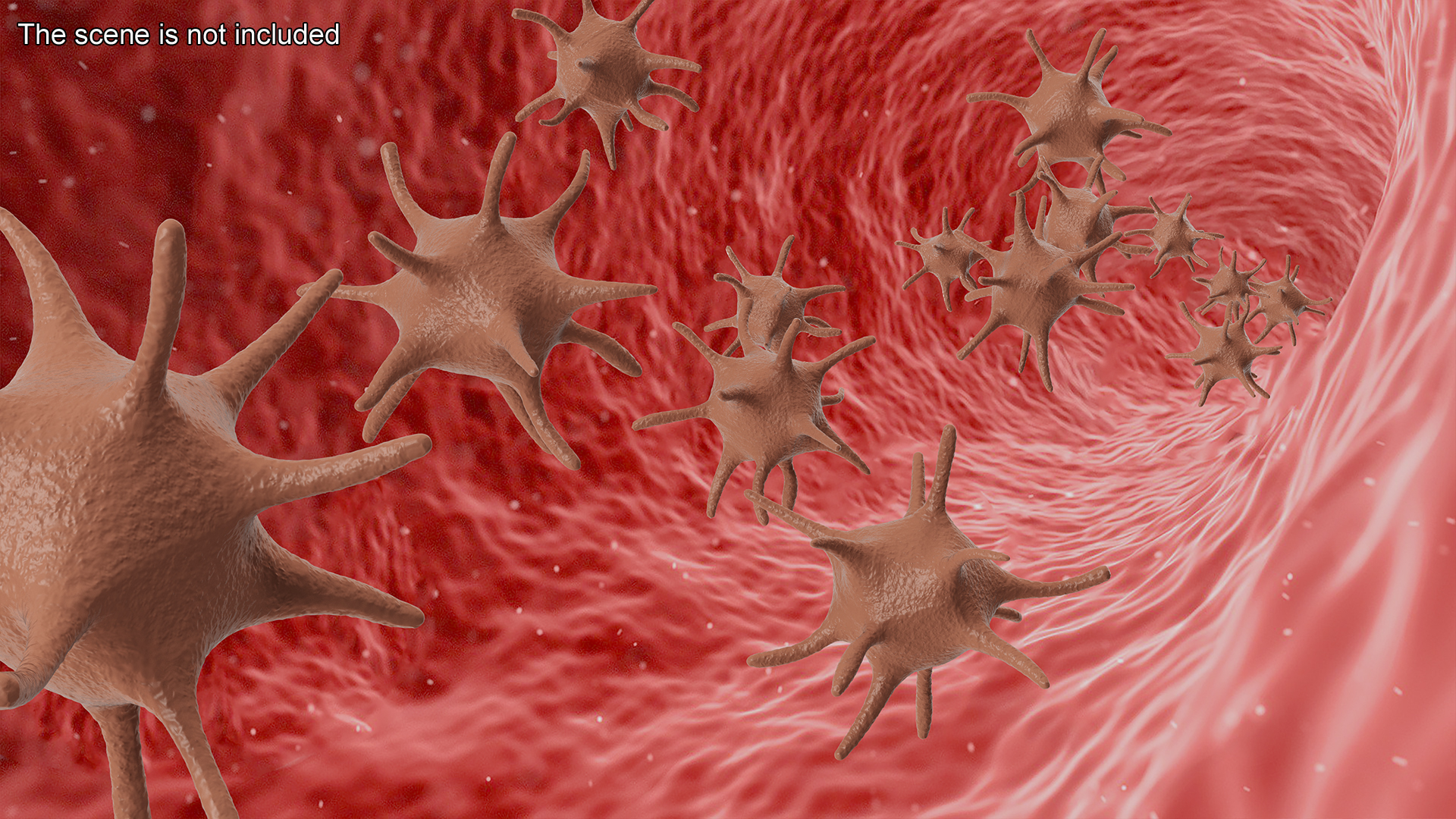 Platelet Blood Cell 3D model
