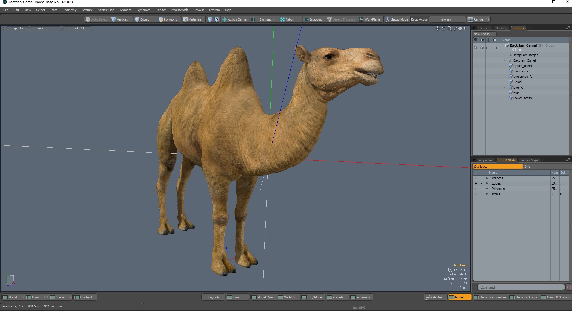 Bactrian Camel 3D model