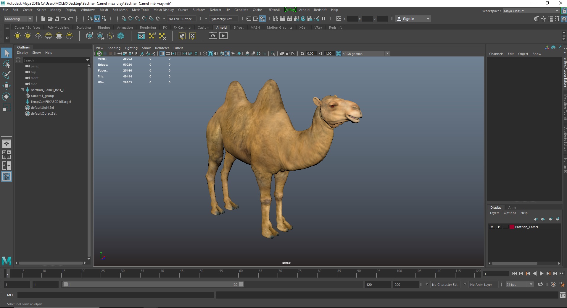 Bactrian Camel 3D model