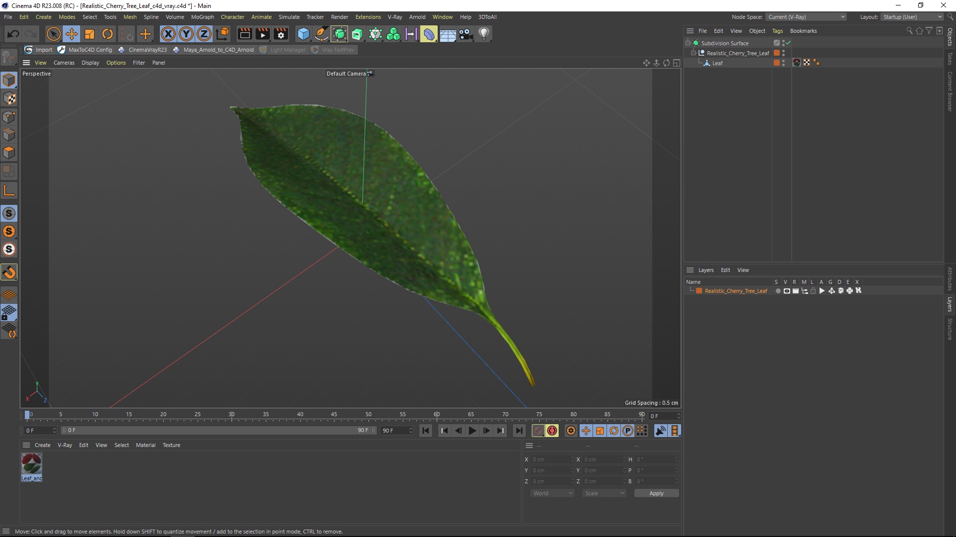 3D Realistic Cherry Tree Leaf