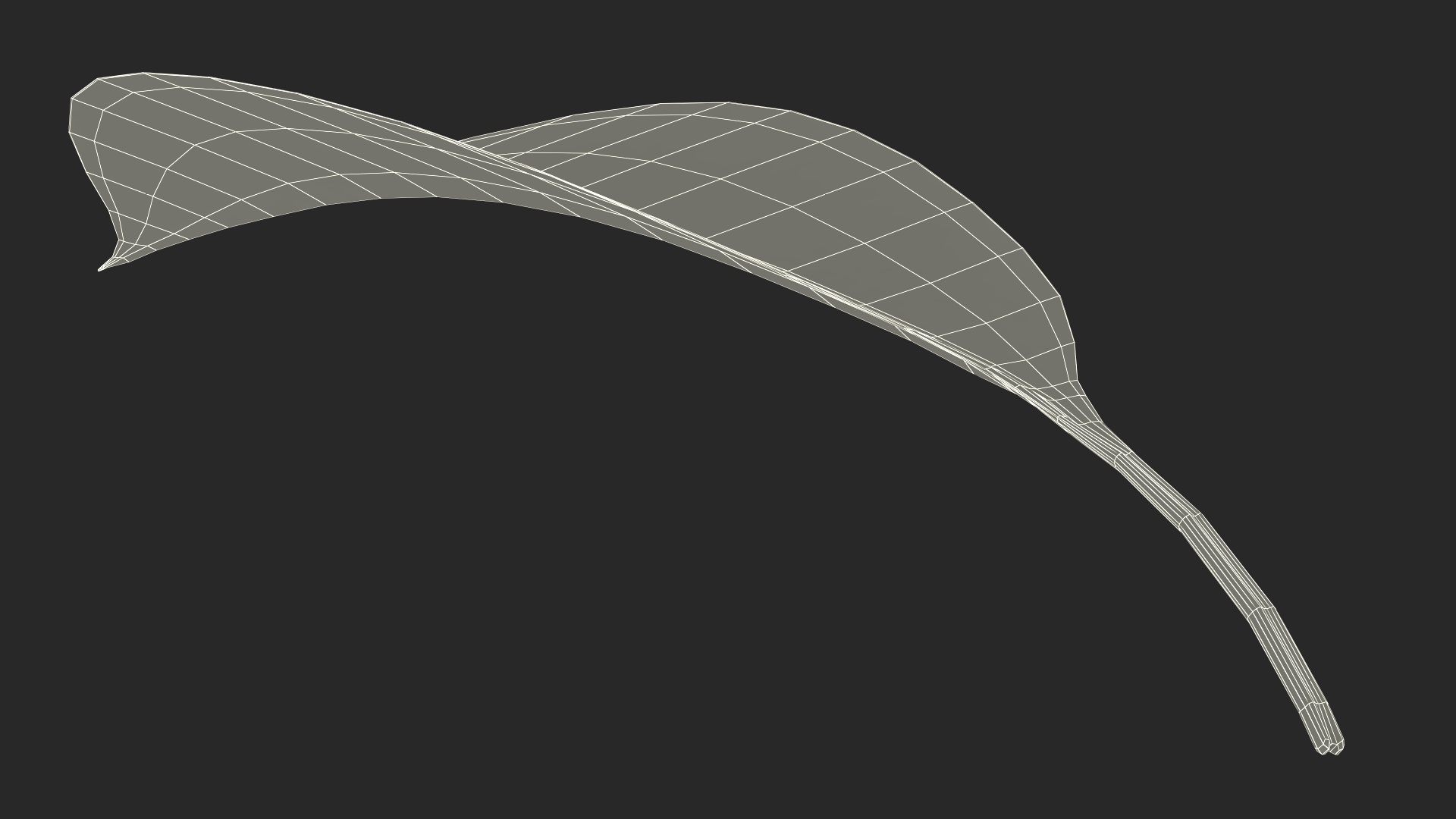 3D Realistic Cherry Tree Leaf