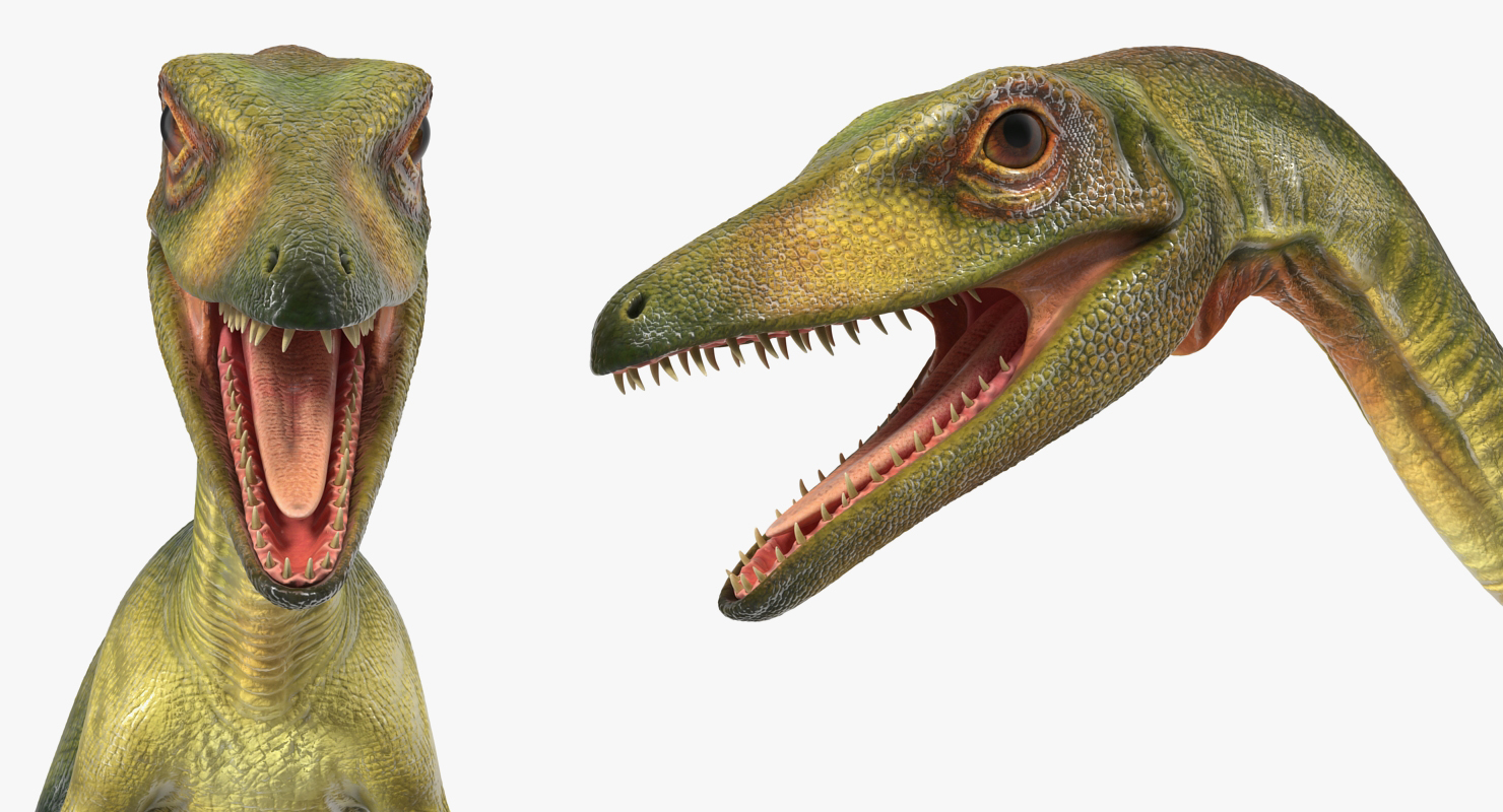 Compsognathus Carnivorous Dinosaur 3D model