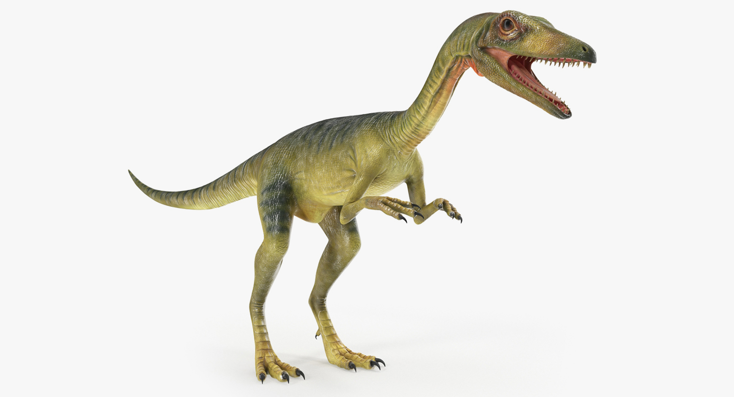 Compsognathus Carnivorous Dinosaur 3D model