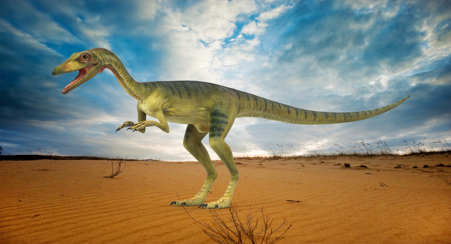 Compsognathus Carnivorous Dinosaur 3D model