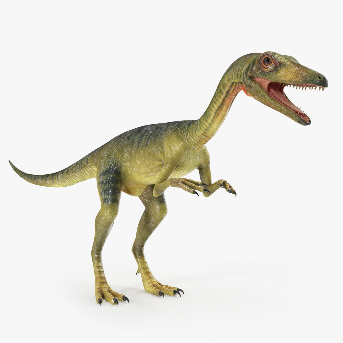 Compsognathus Dinosaur 3D Model, view 4