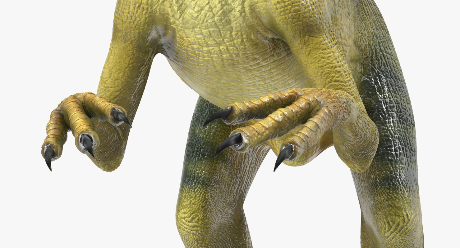 Compsognathus Carnivorous Dinosaur 3D model
