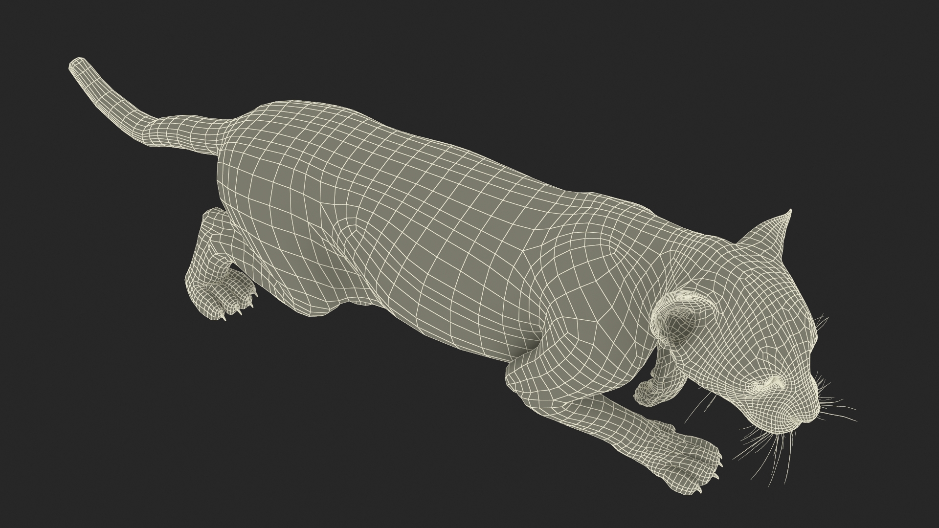 3D model Leopard Cub Sneaking Pose