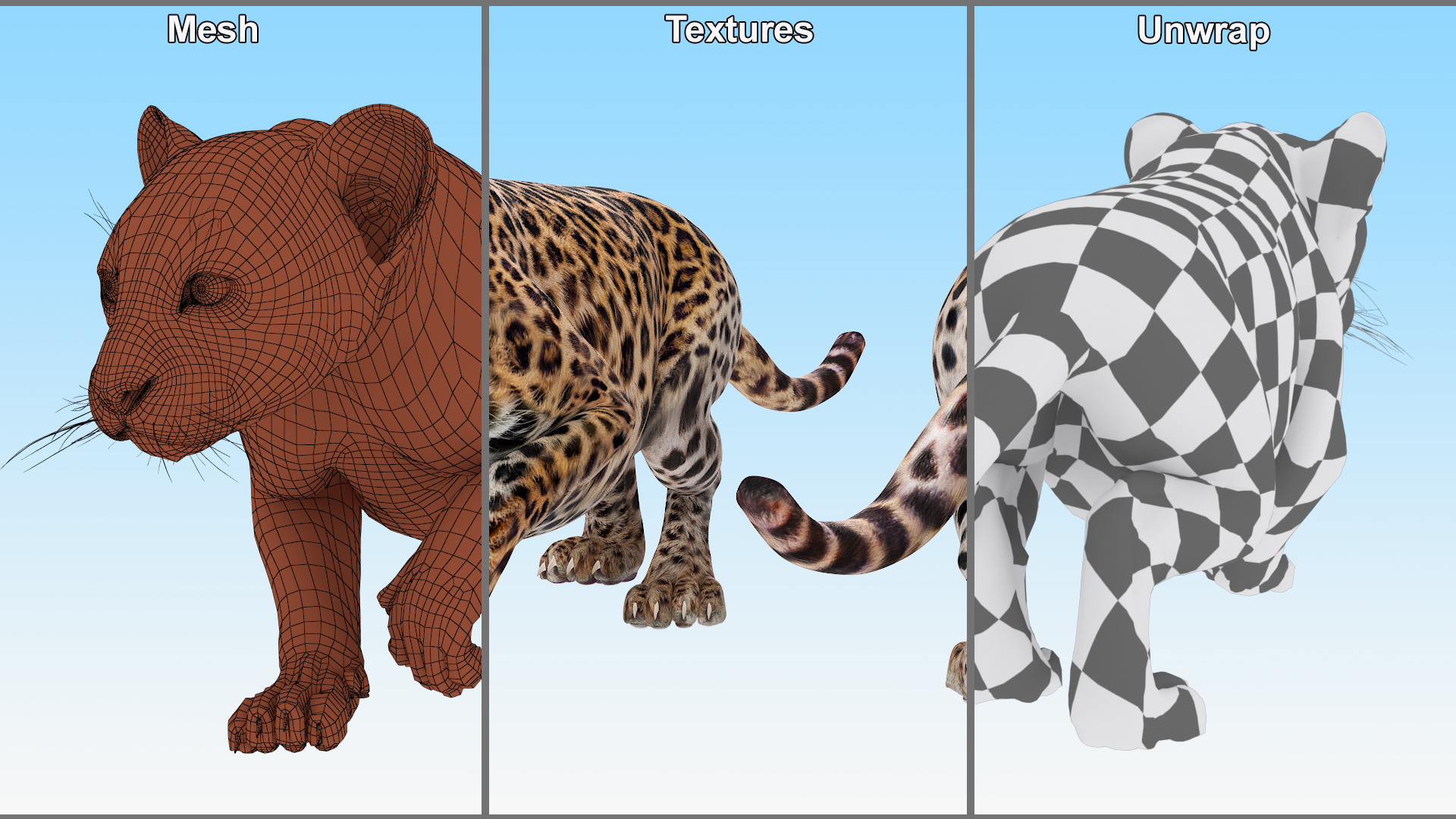 3D model Leopard Cub Sneaking Pose