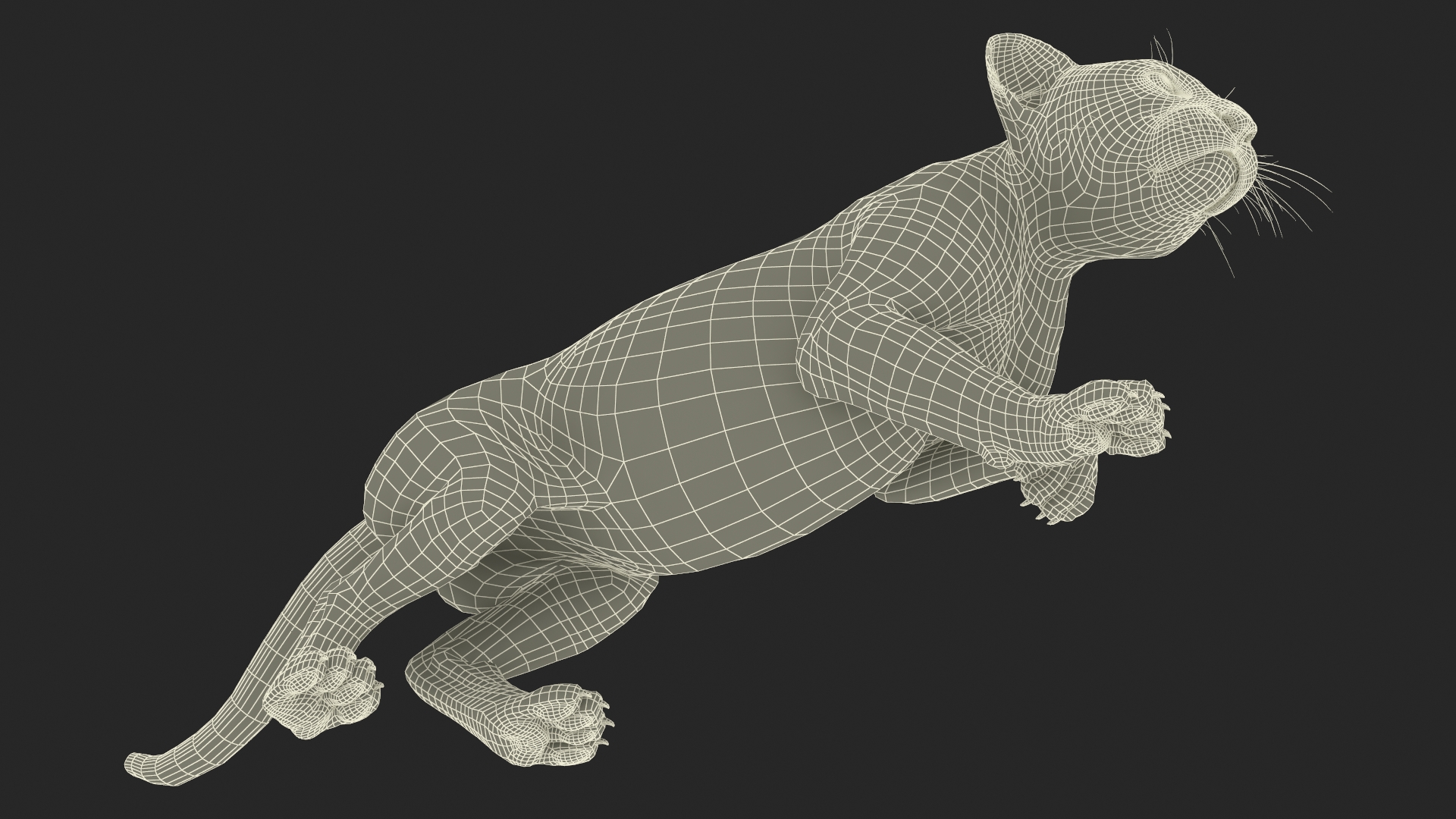 3D model Leopard Cub Sneaking Pose