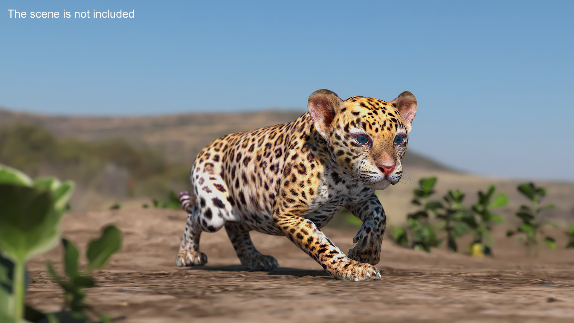 3D model Leopard Cub Sneaking Pose