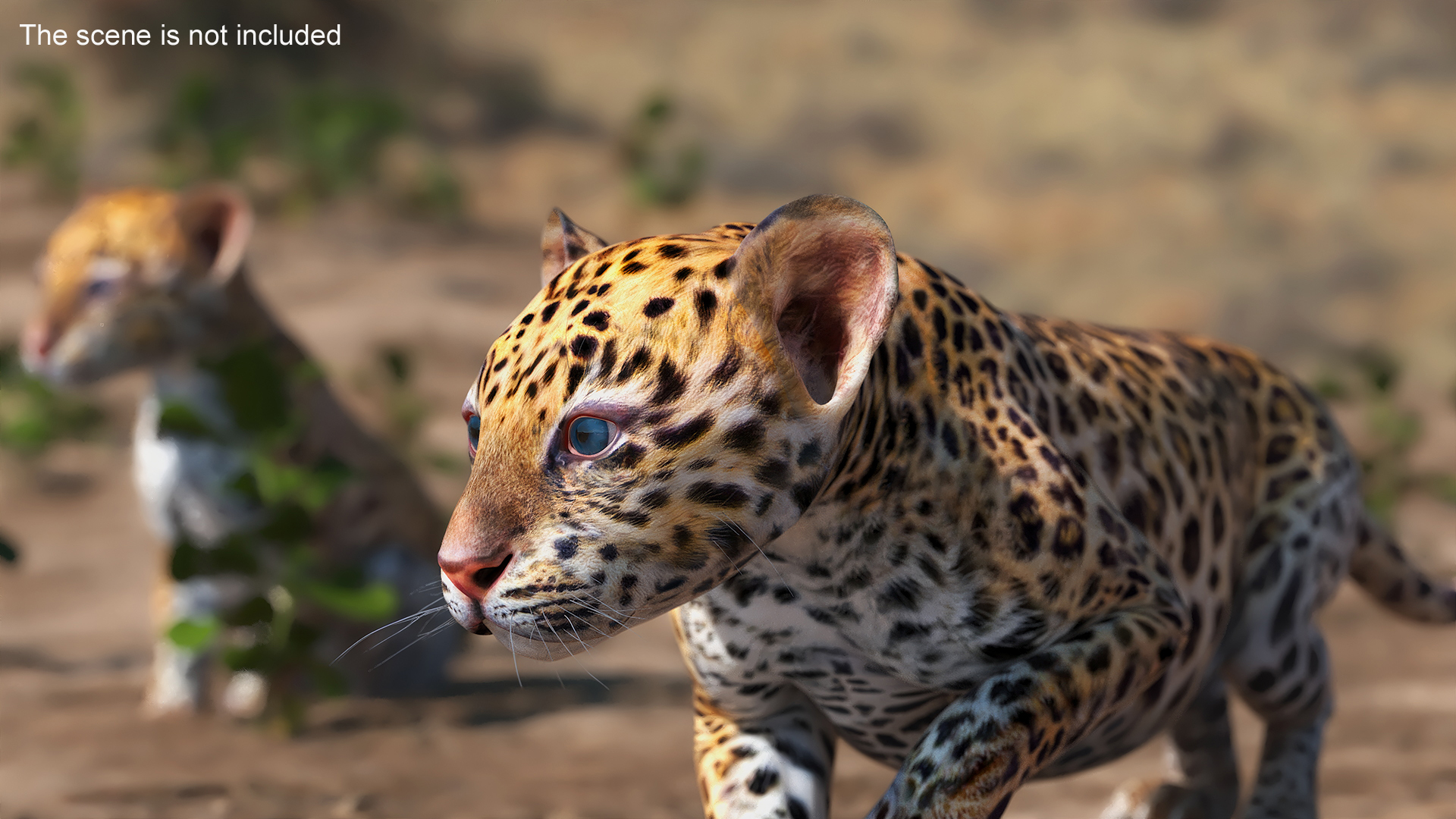3D model Leopard Cub Sneaking Pose