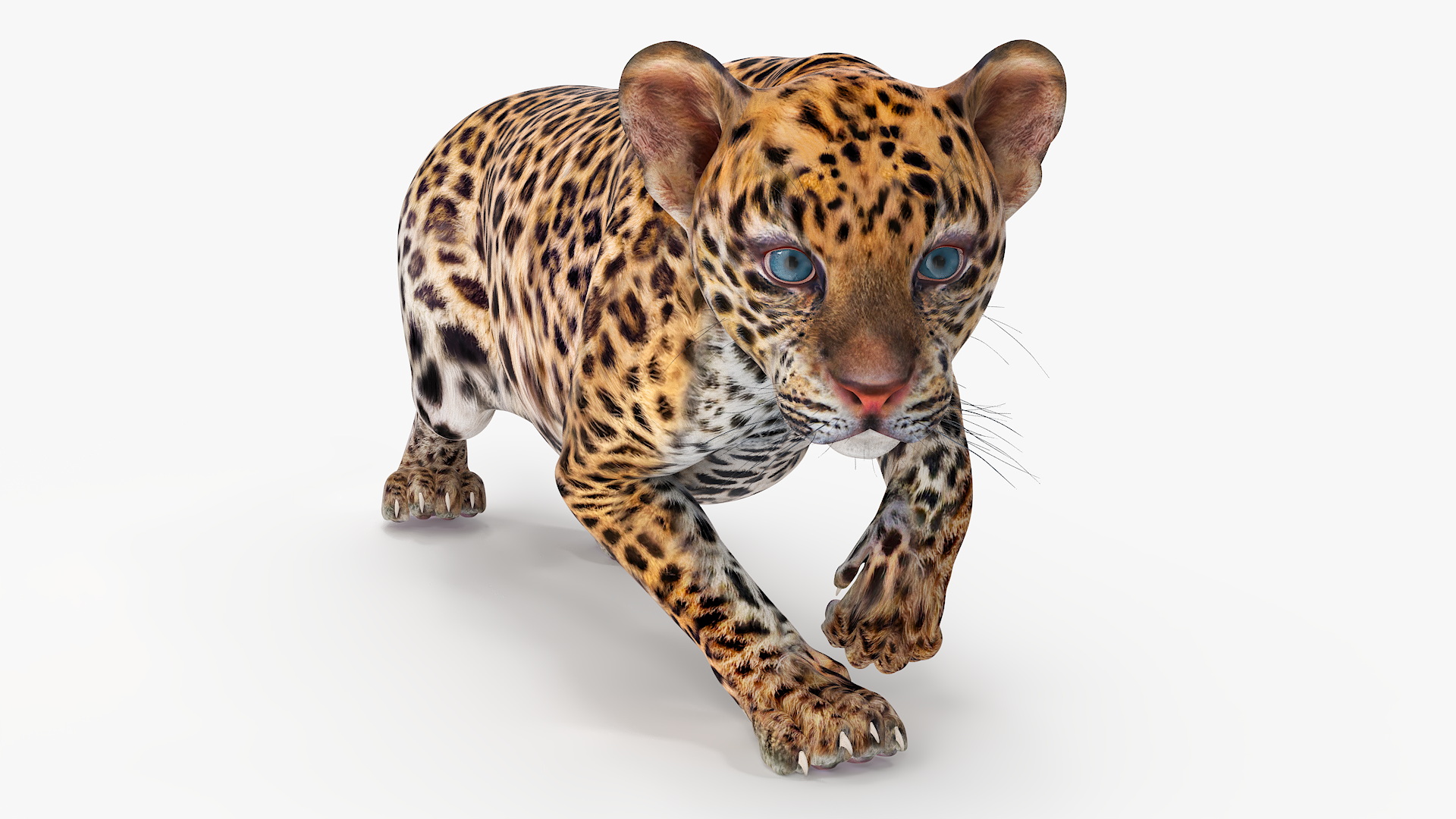 3D model Leopard Cub Sneaking Pose