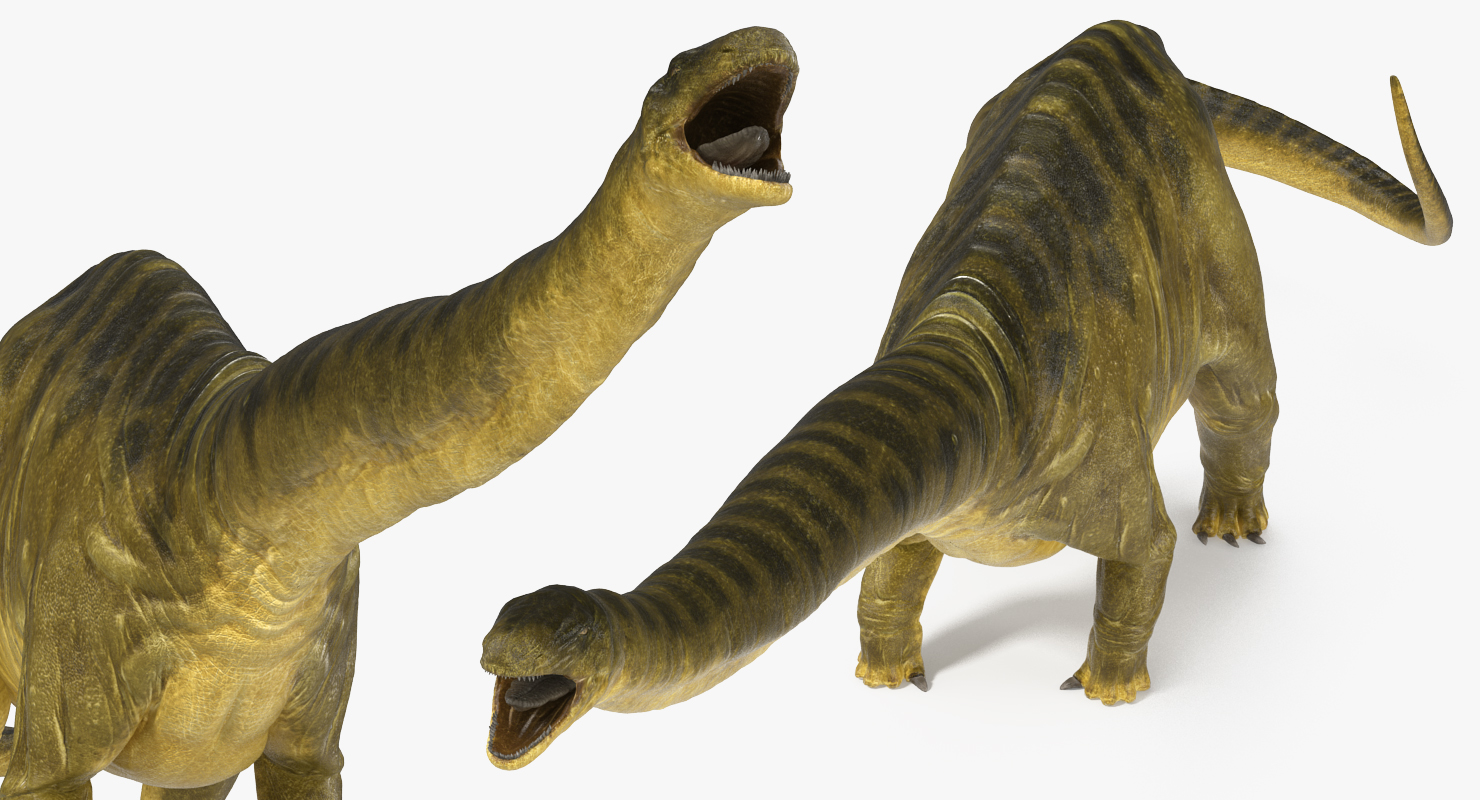 Apatosaurus Dinosaur Fighting Pose 3D model