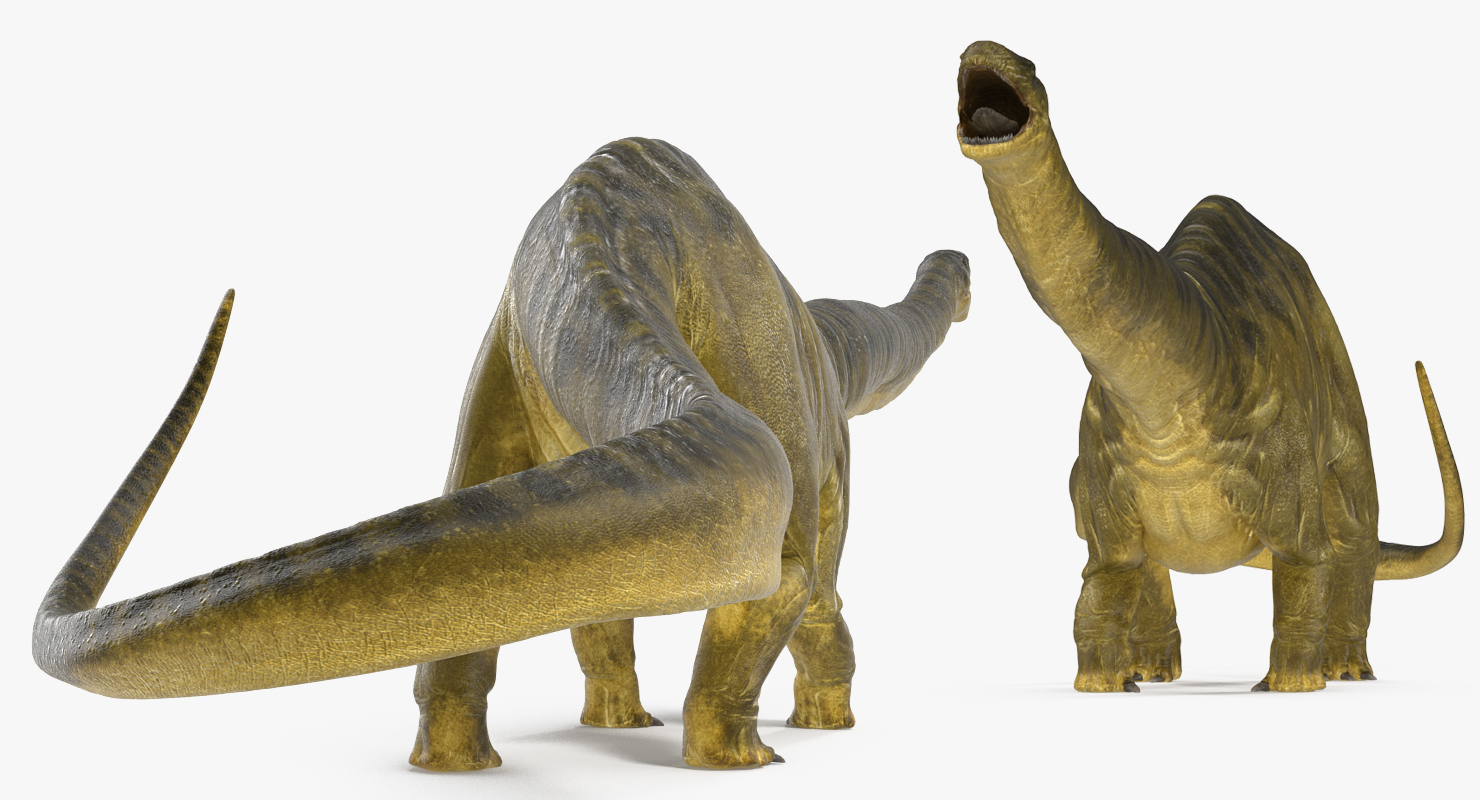 Apatosaurus Dinosaur Fighting Pose 3D model