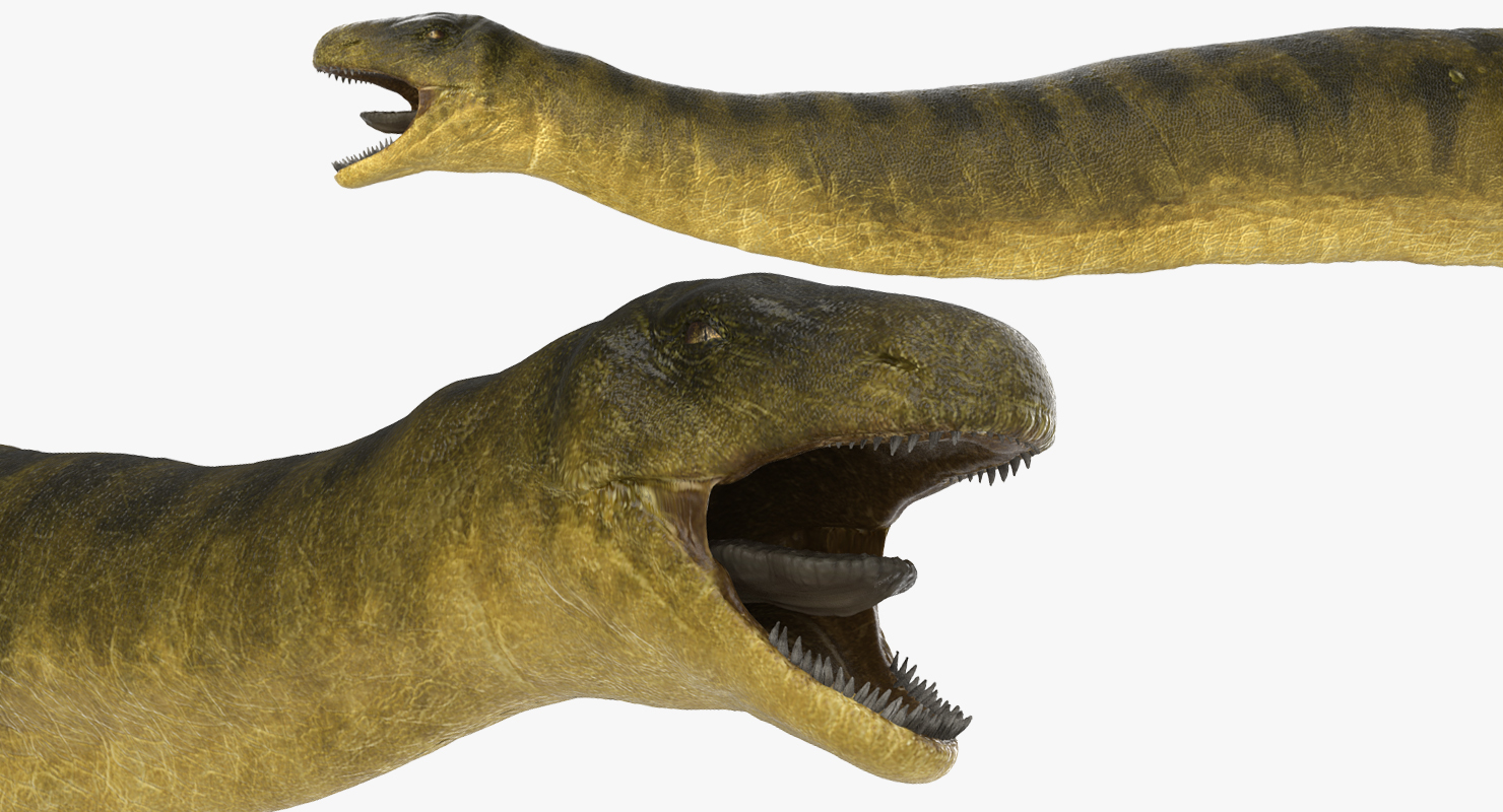 Apatosaurus Dinosaur Fighting Pose 3D model