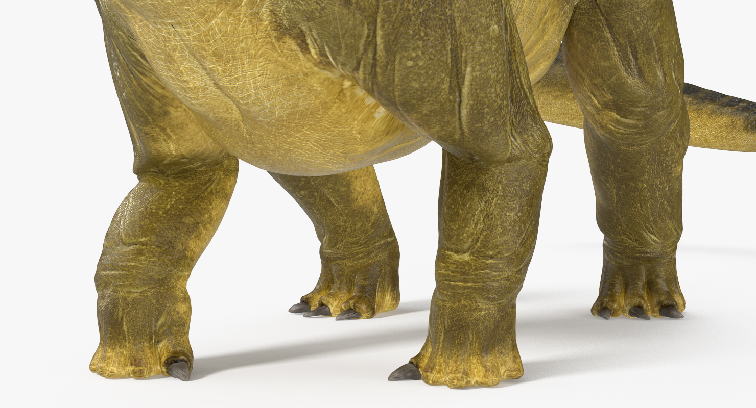 Apatosaurus Dinosaur Fighting Pose 3D model