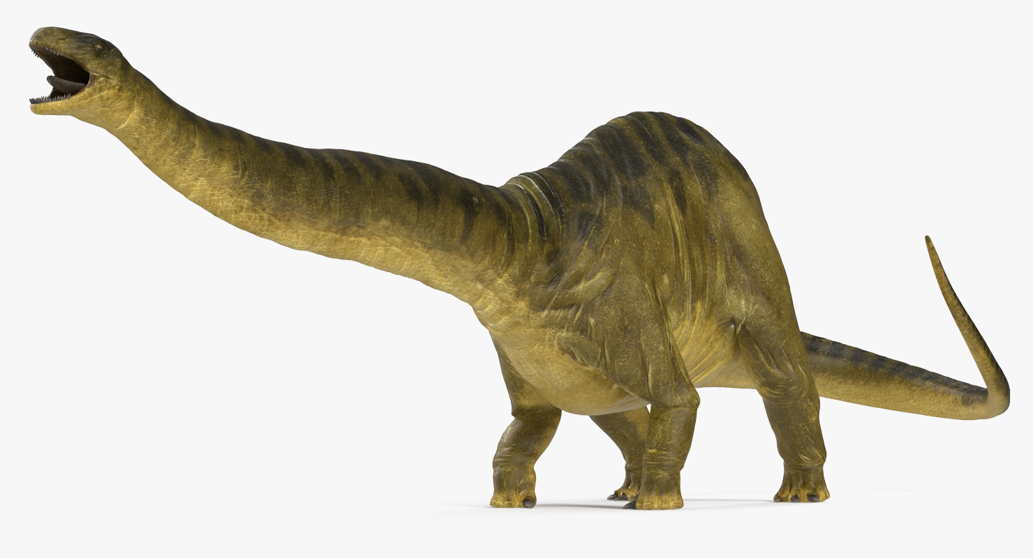Apatosaurus Dinosaur Fighting Pose 3D model