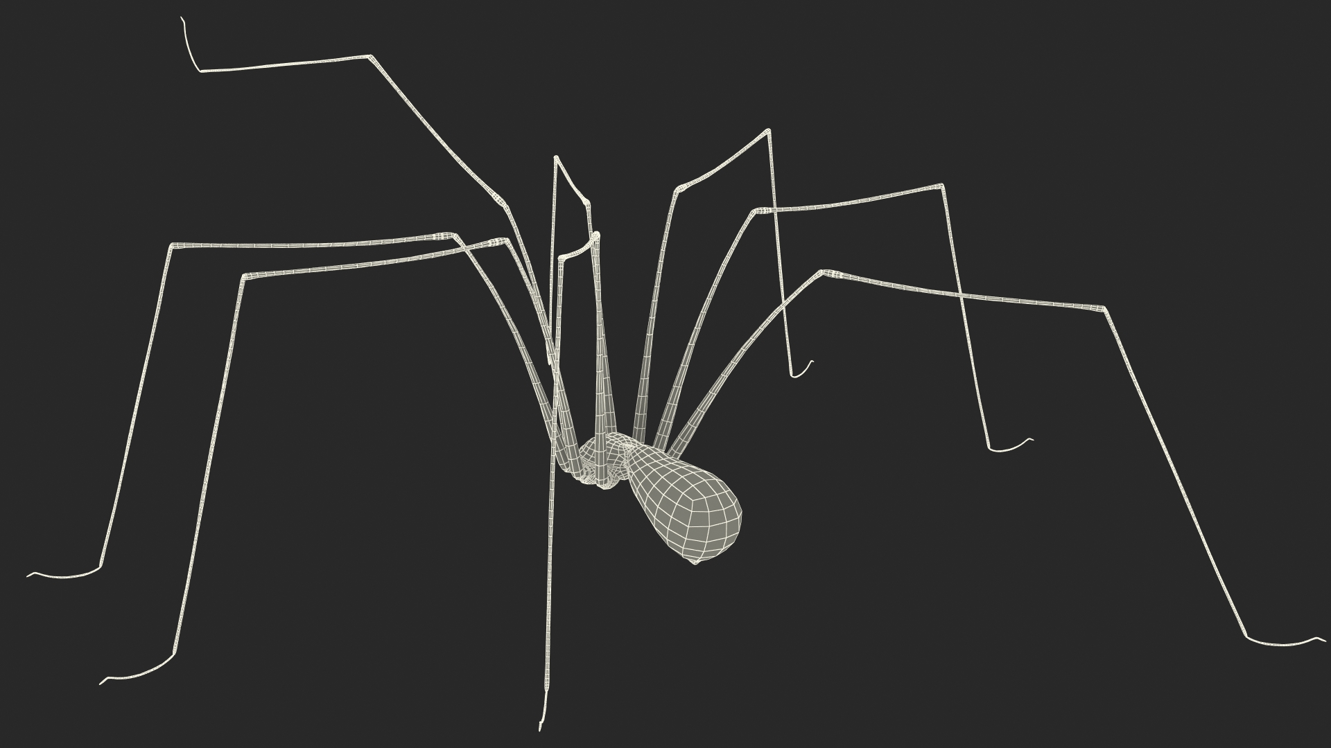 3D model Long-legged House Spider Rigged for Maya